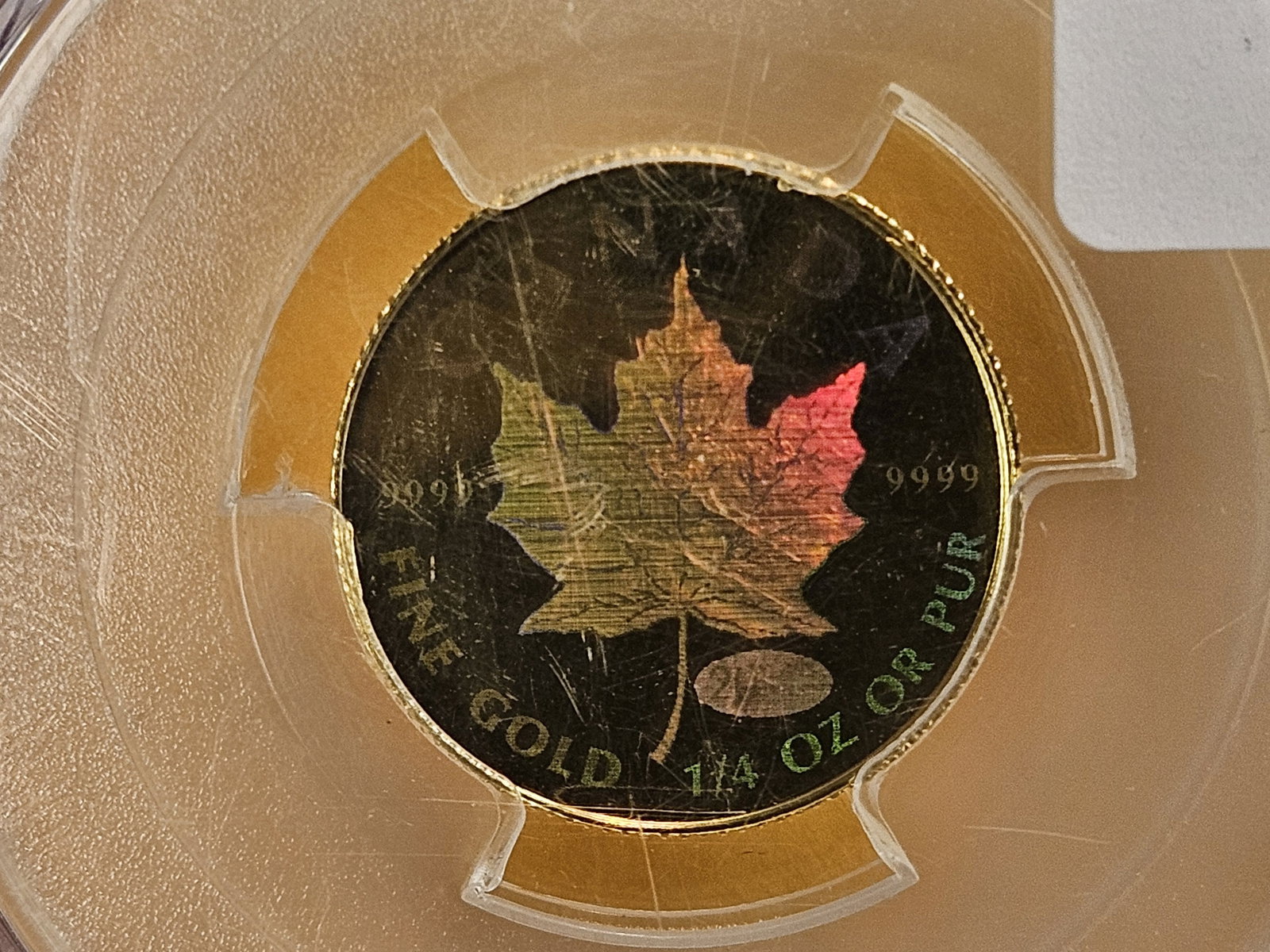 GOLD! GEM! PCGS 1999 Canada Gold Ten Dollars in Mint State 65 - 6