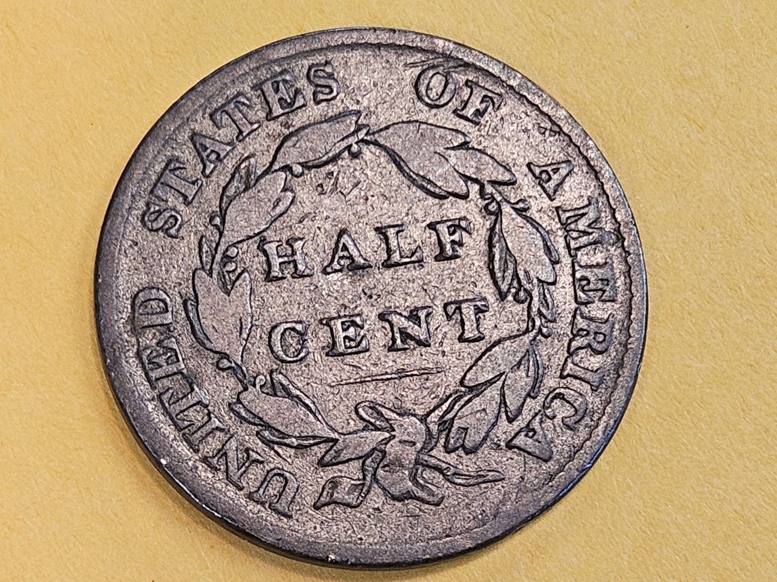1826 Classic Head Half cent in Fine - 4