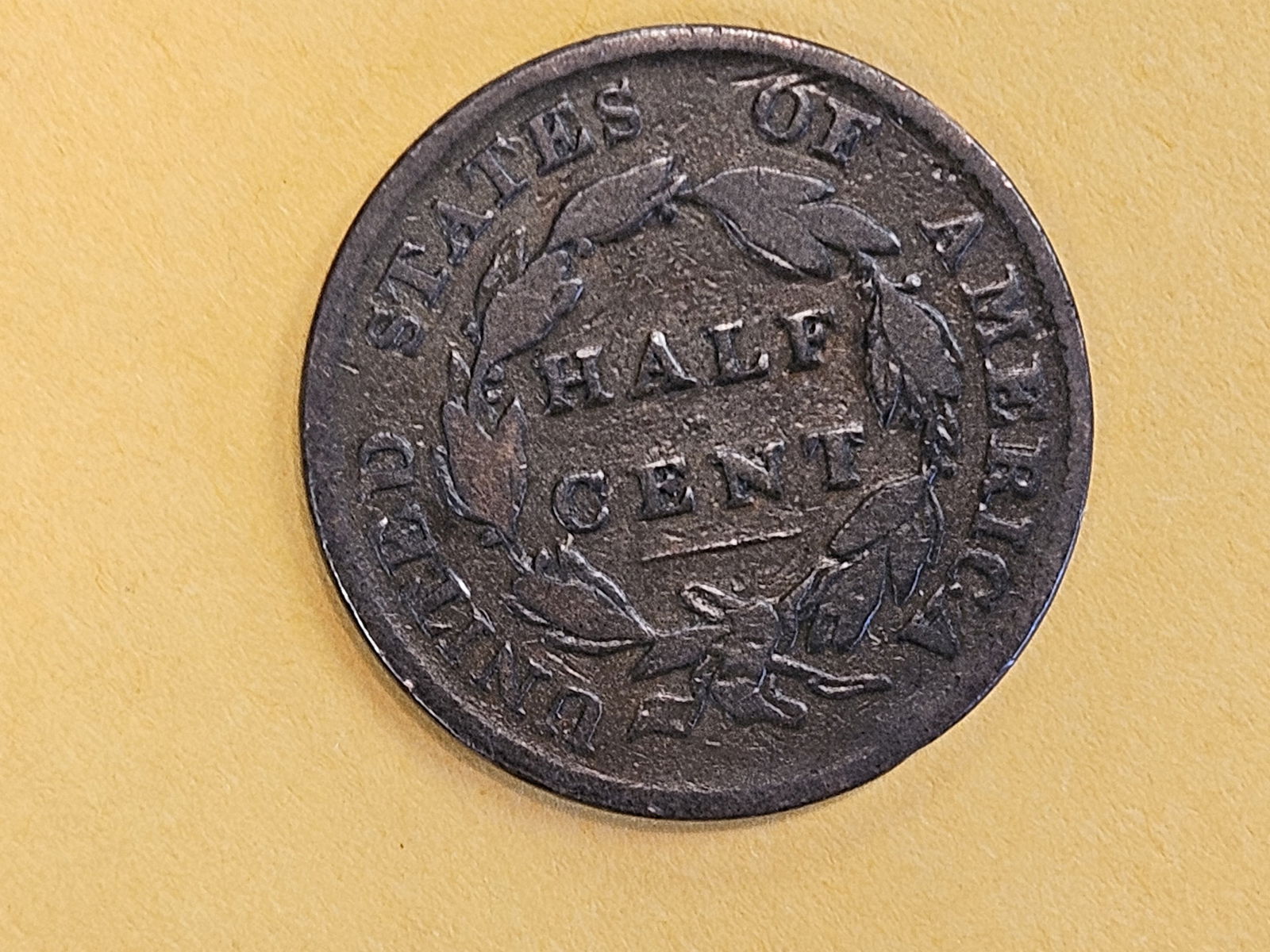 1826 Classic Head Half cent in Fine - 5