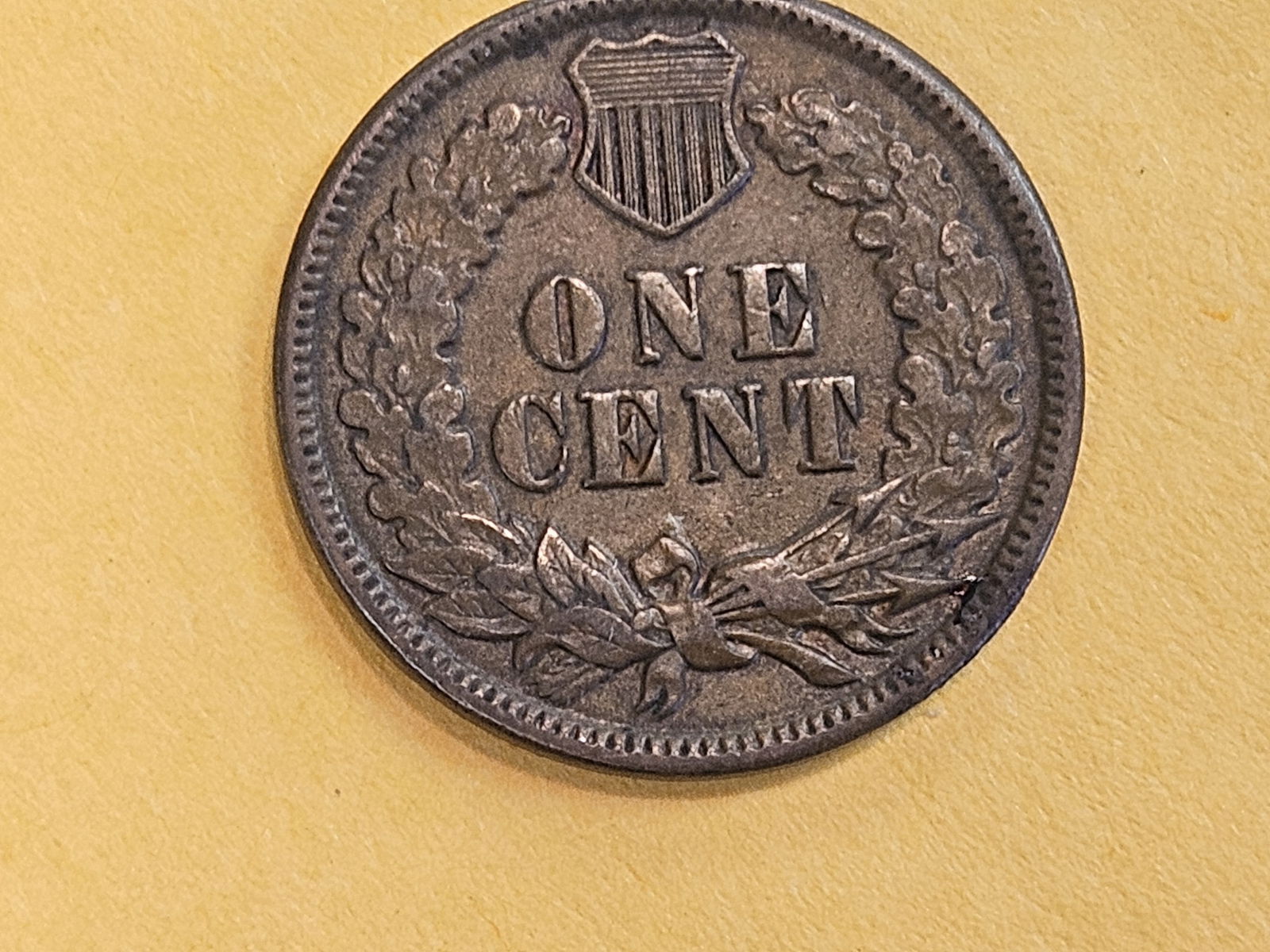 1881 Indian cent in Extra Fine - 45 - 3