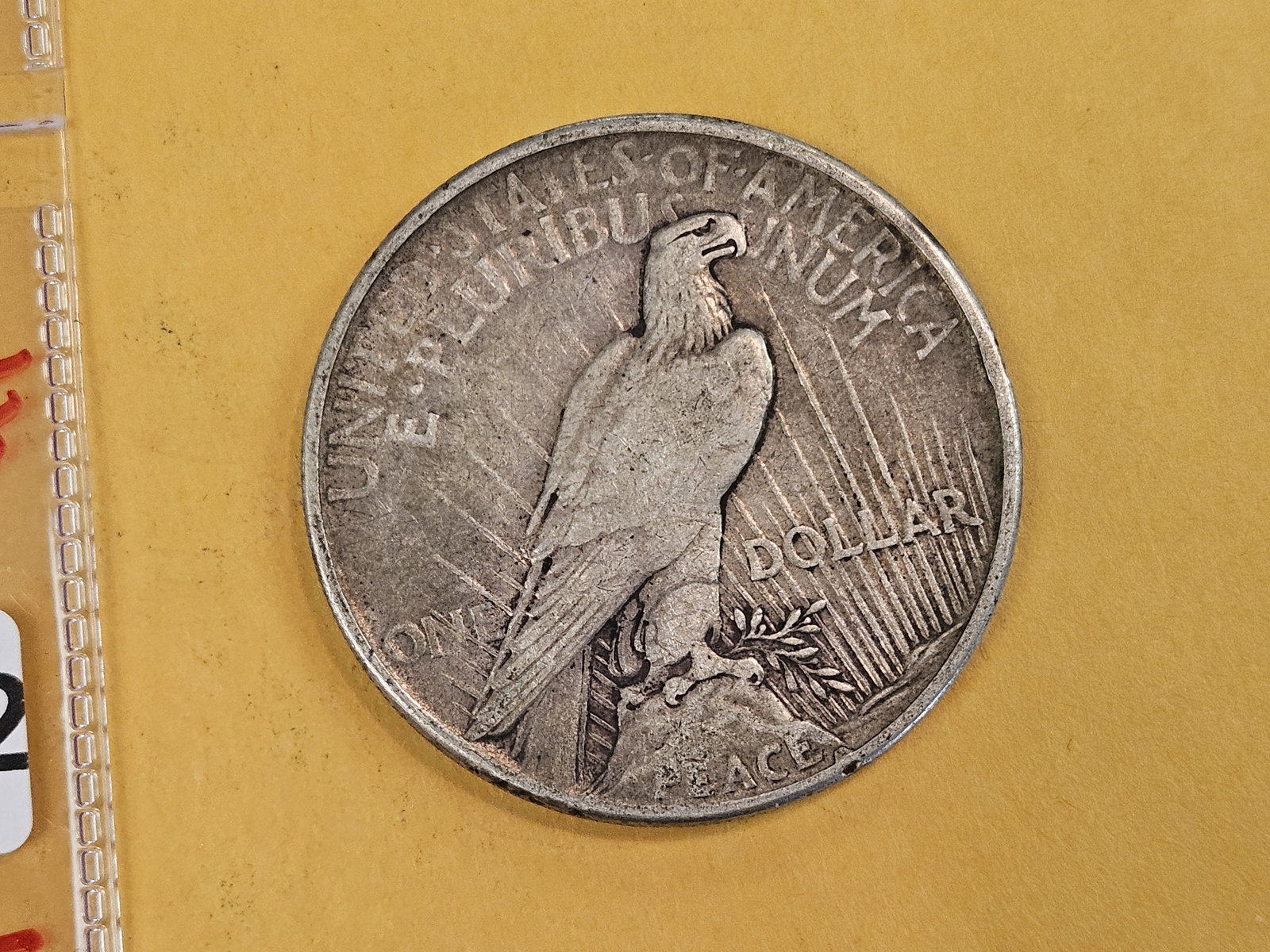 ** KEY DATE ** 1921 Peace silver Dollar in Extra Fine - 3