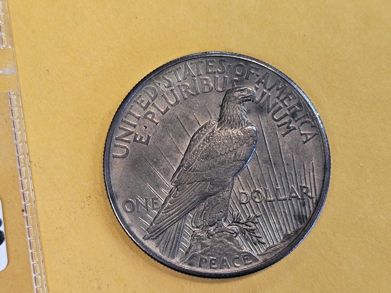 ** KEY DATE ** 1921 Peace silver Dollar in Uncirculated - details - 5