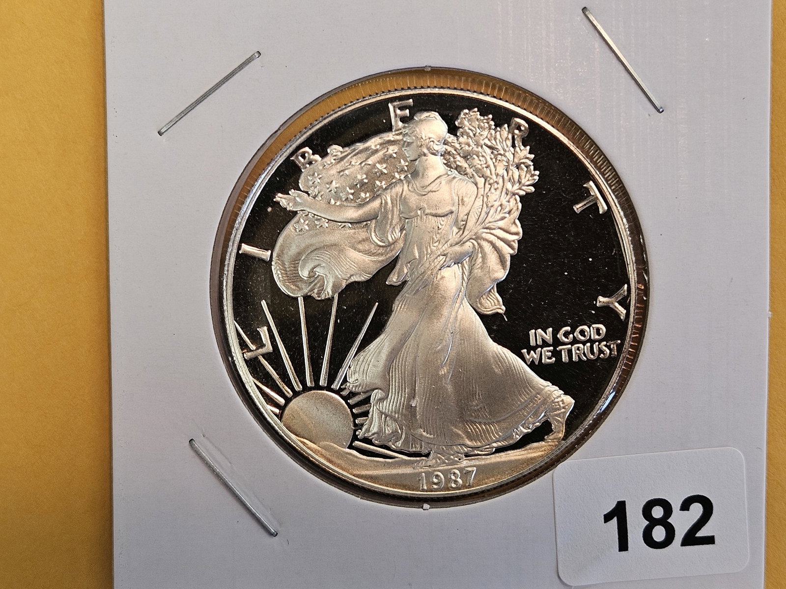 GEM Proof Deep Cameo 1987 American Silver eagle: Album toning