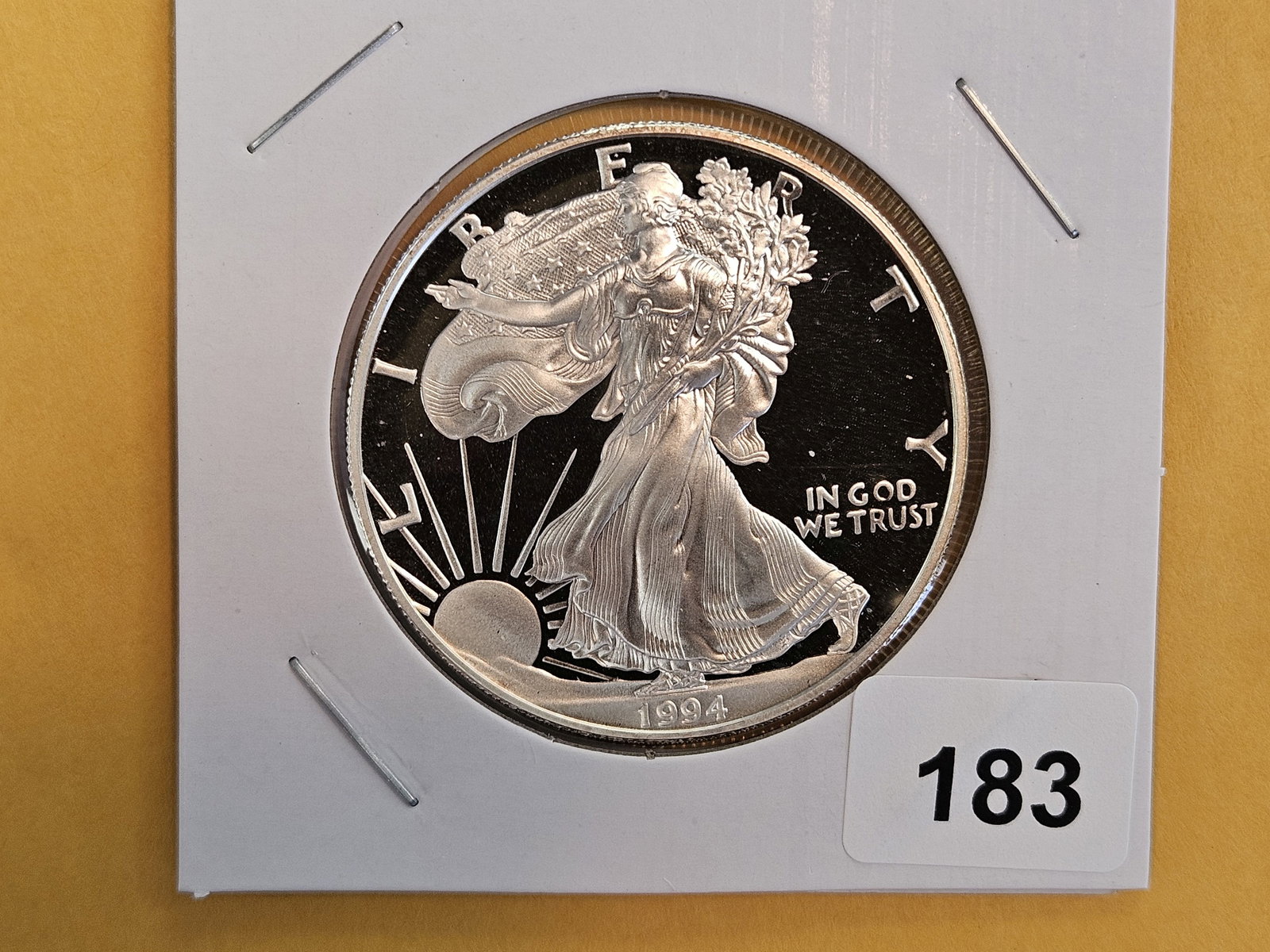 * SEMI-KEY GEM Proof Deep Cameo 1994 American Silver eagle: Album toning