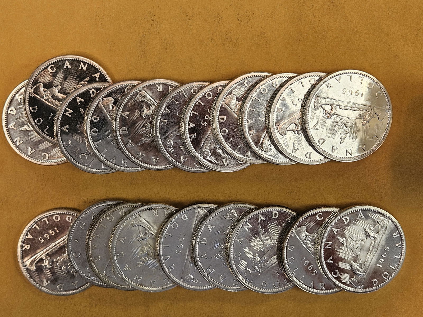 ** FULL ROLL ** Twenty silver Prooflike Canada Silver Dollars - 2