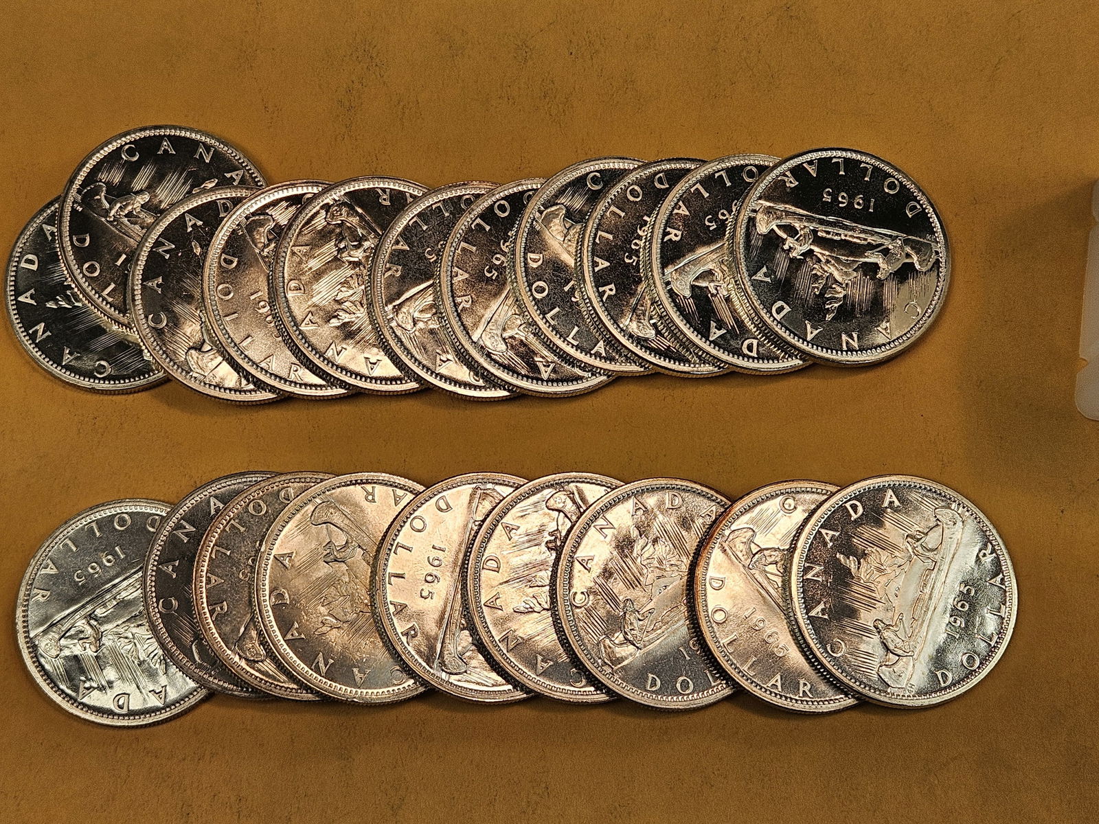 ** FULL ROLL ** Twenty silver Prooflike Canada Silver Dollars - 3