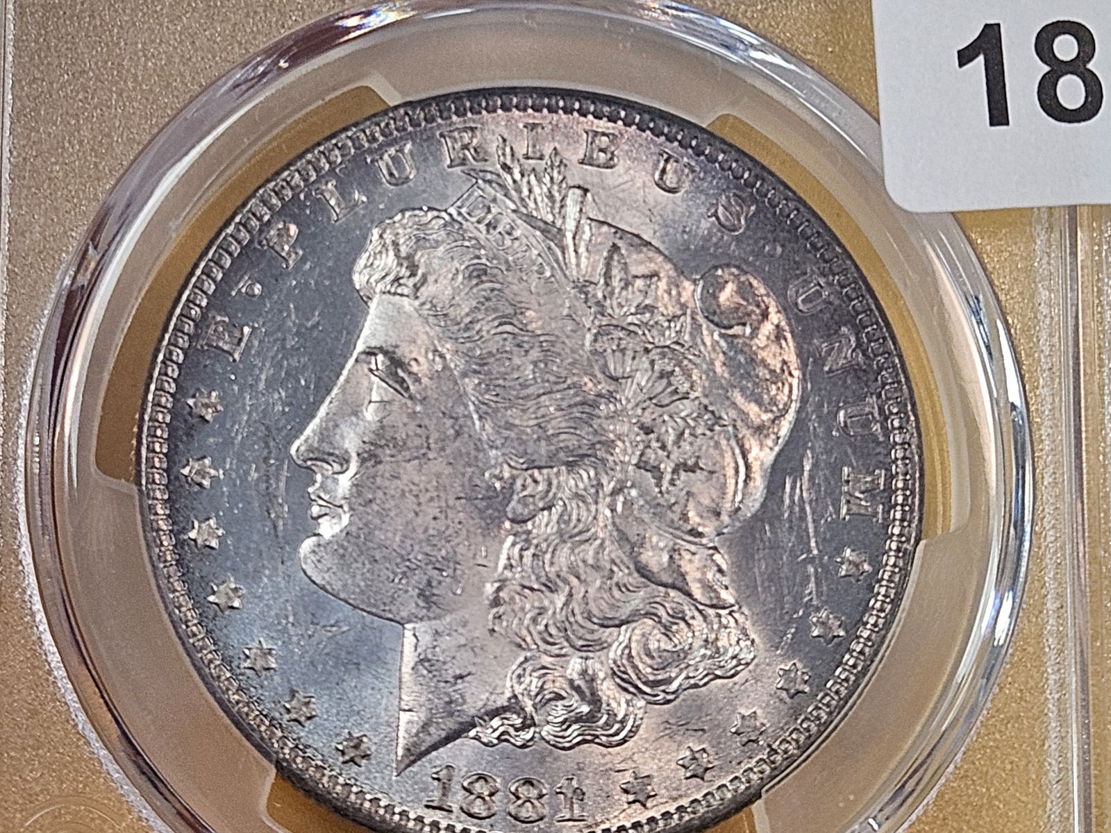 PCGS 1881-O Morgan Dollar in Mint State 62 - 5