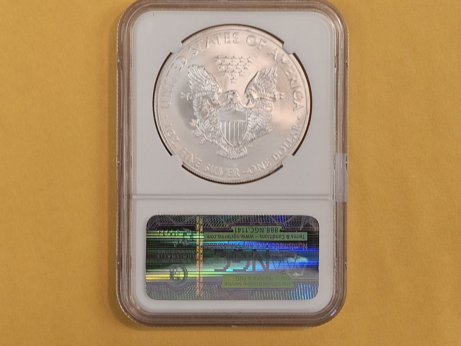 PERFECT! NGC 2013 American Silver Eagle in Mint State 70 - 2