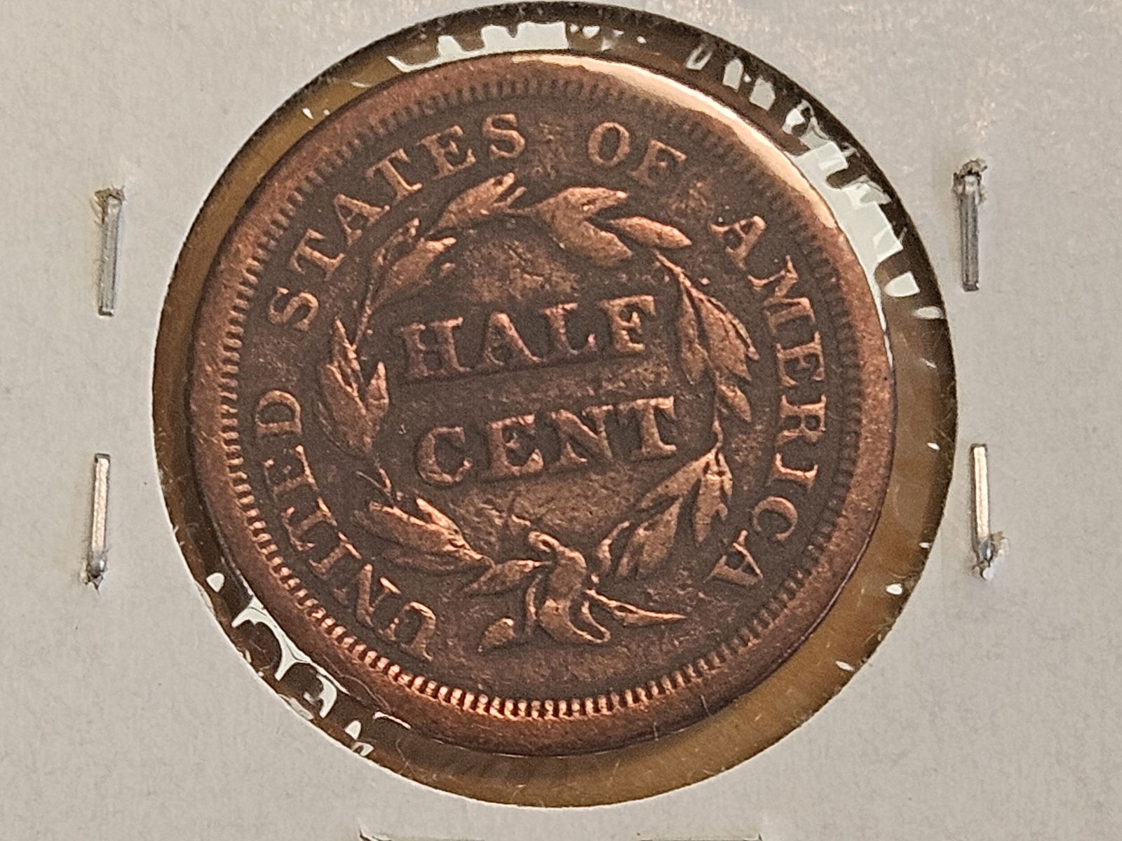 Two Braided Hair Half Cents in Very Good and Very Fine - details - 3