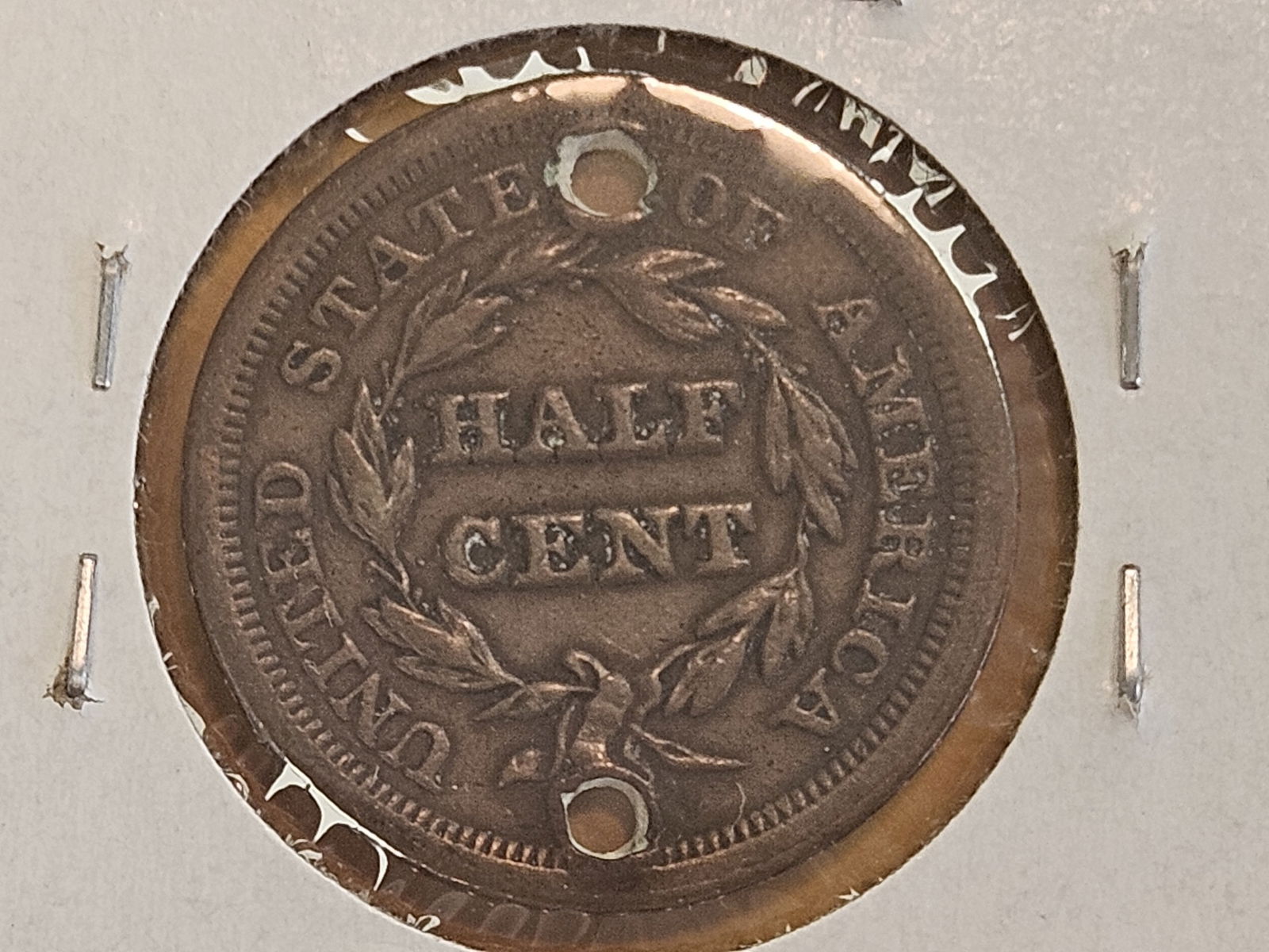 Two Braided Hair Half Cents in Very Good and Very Fine - details - 5