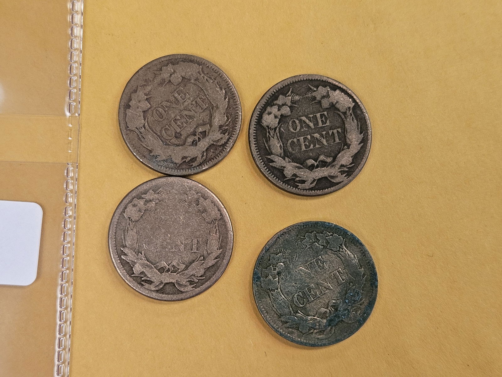 Four Flying Eagle cents - 3