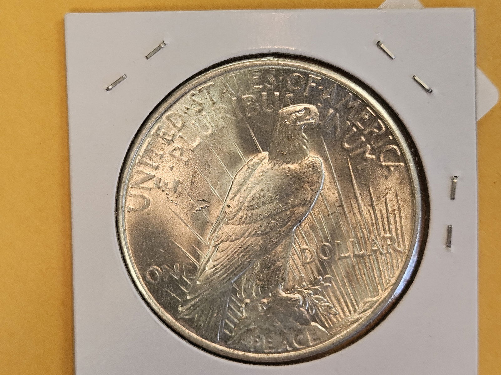 Very Choice Brilliant Uncirculated 1935 Peace Silver Dollar - 4