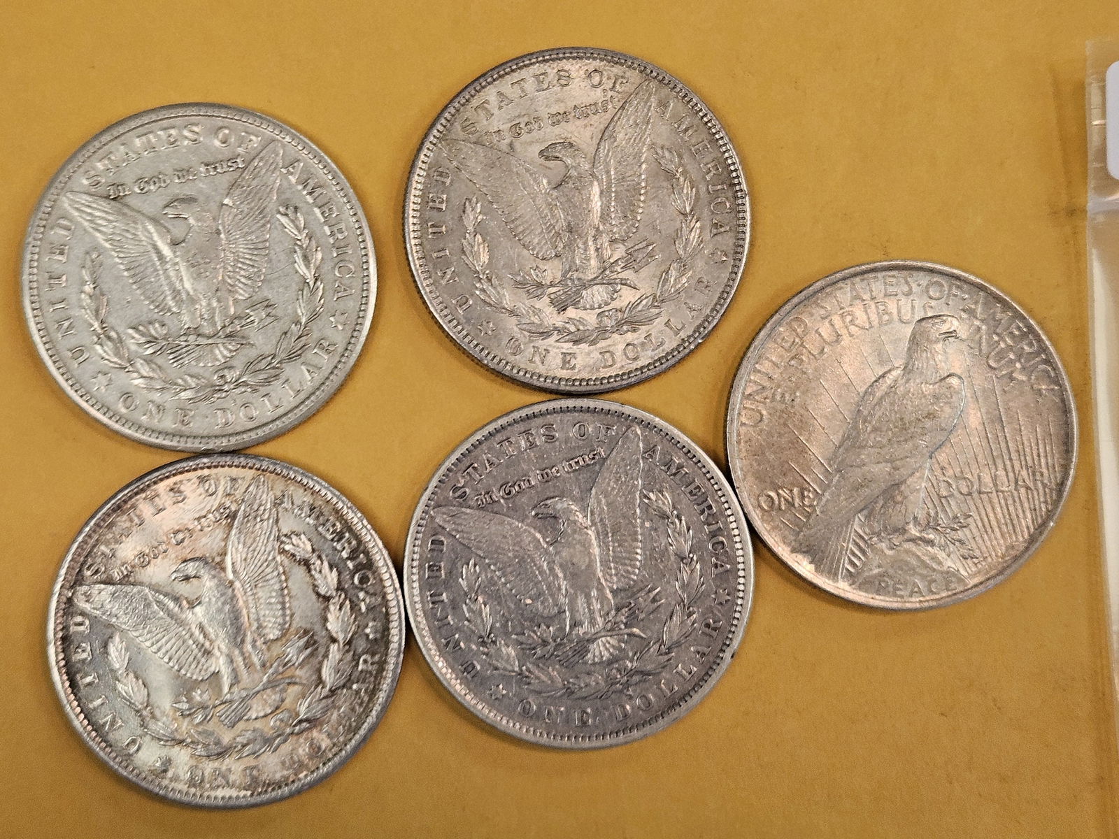 Five mixed Morgan and Peace silver Dollars - 2