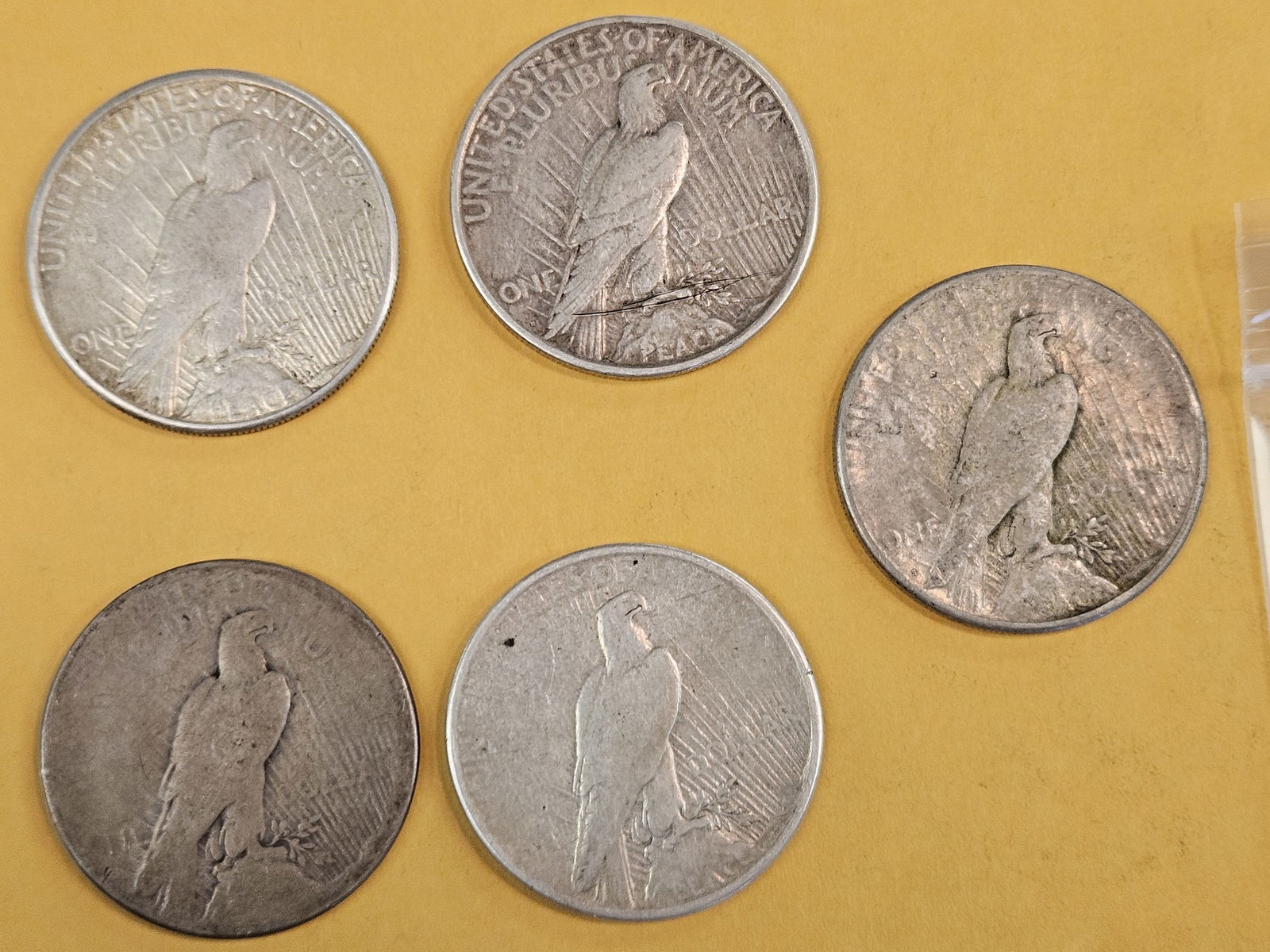 Five mixed Peace Silver Dollars - 2