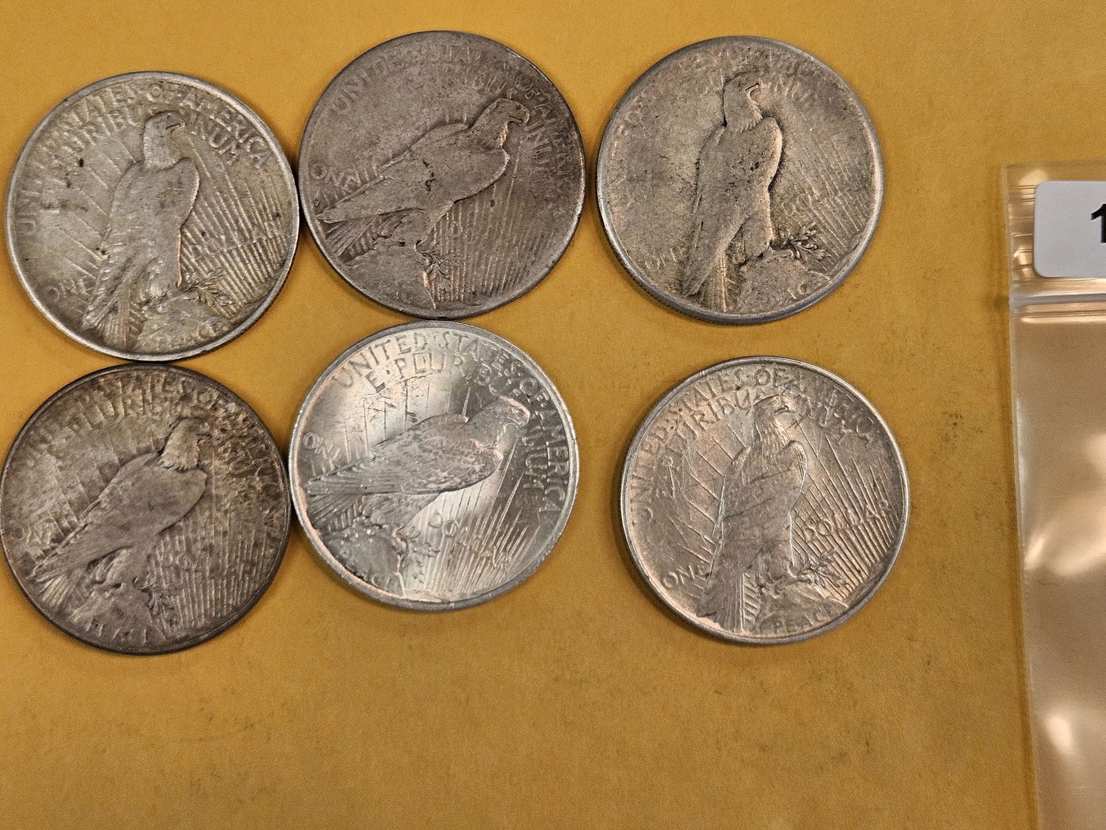 Six mixed Peace Silver Dollars - 2