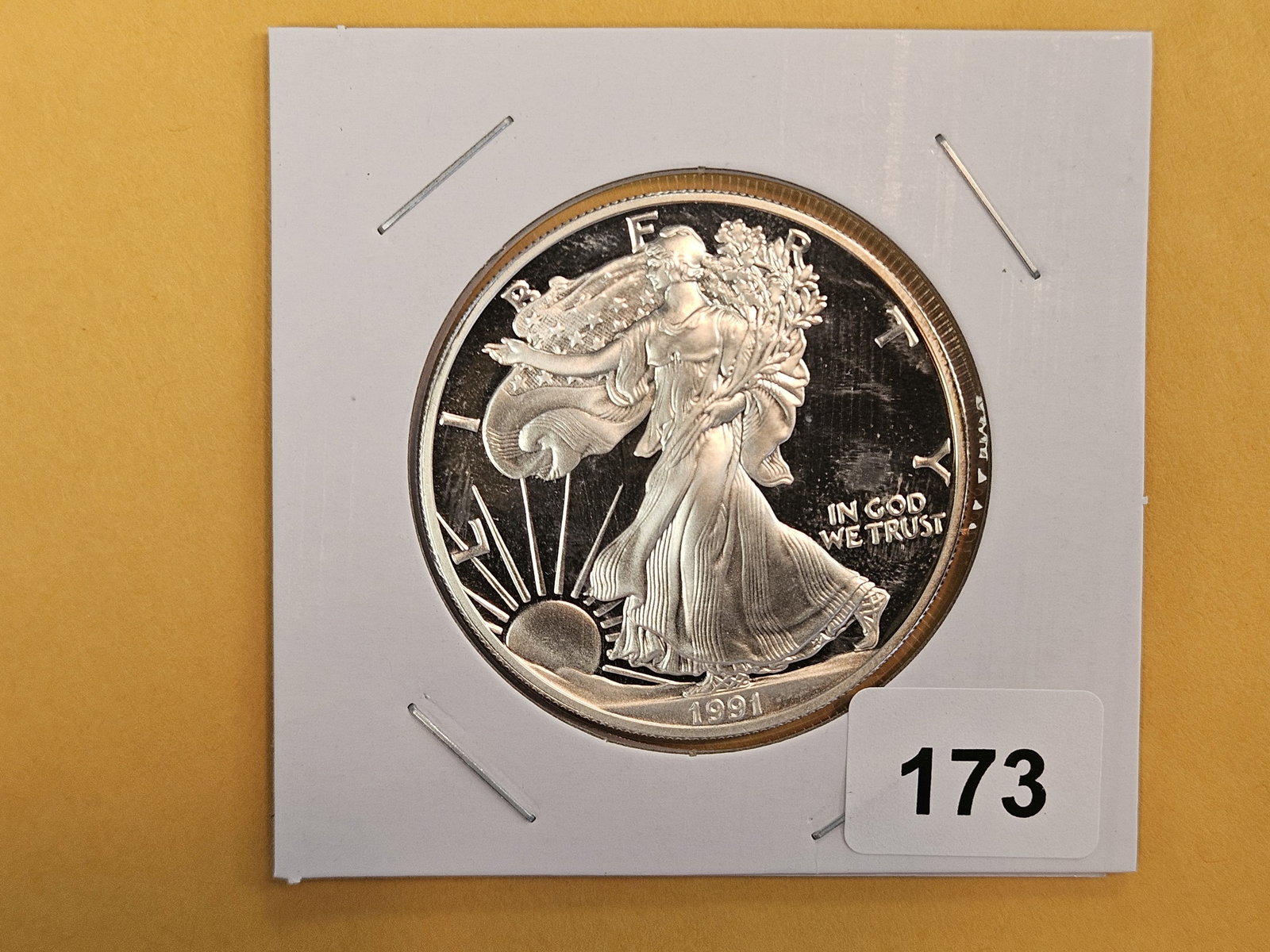 GEM Proof Deep Cameo 1991 American Silver Eagle: Album scuffs 