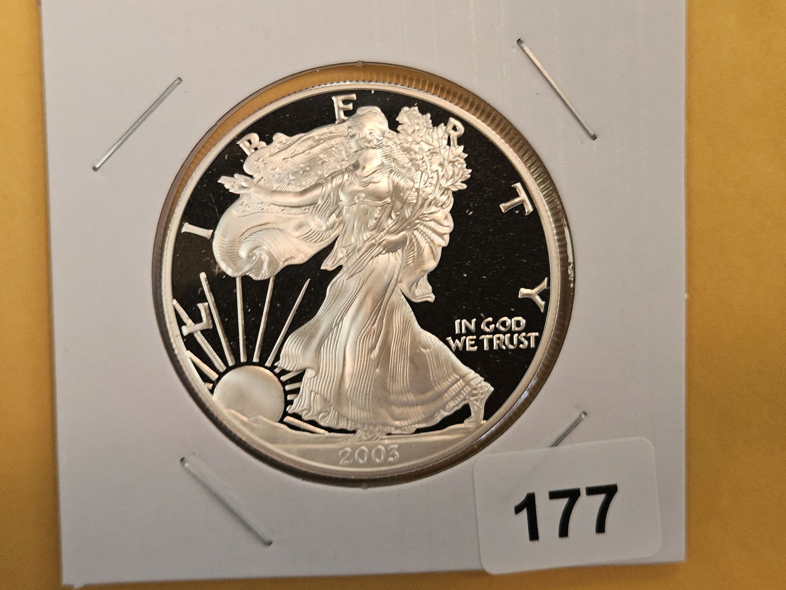 GEM Proof Deep Cameo 2003 American Silver Eagle (1 of 2)