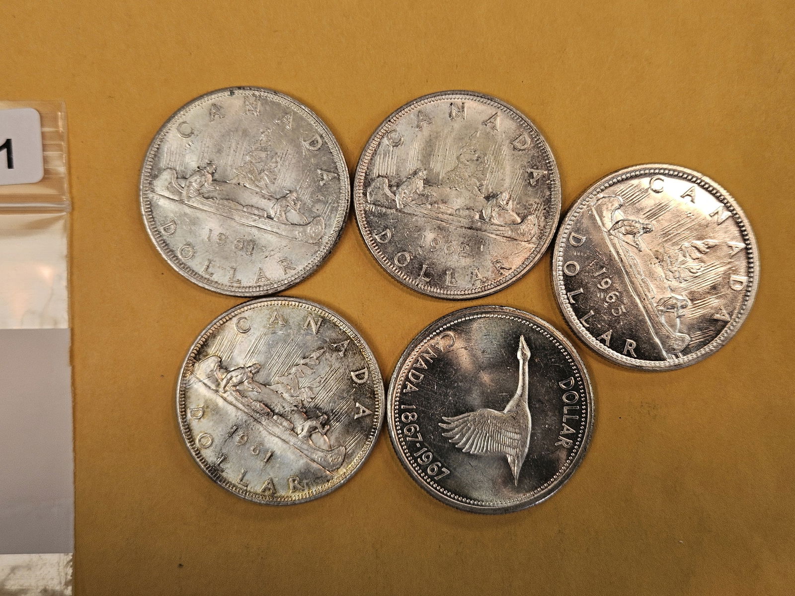 Five Canadian Silver Dollars: Circulated 