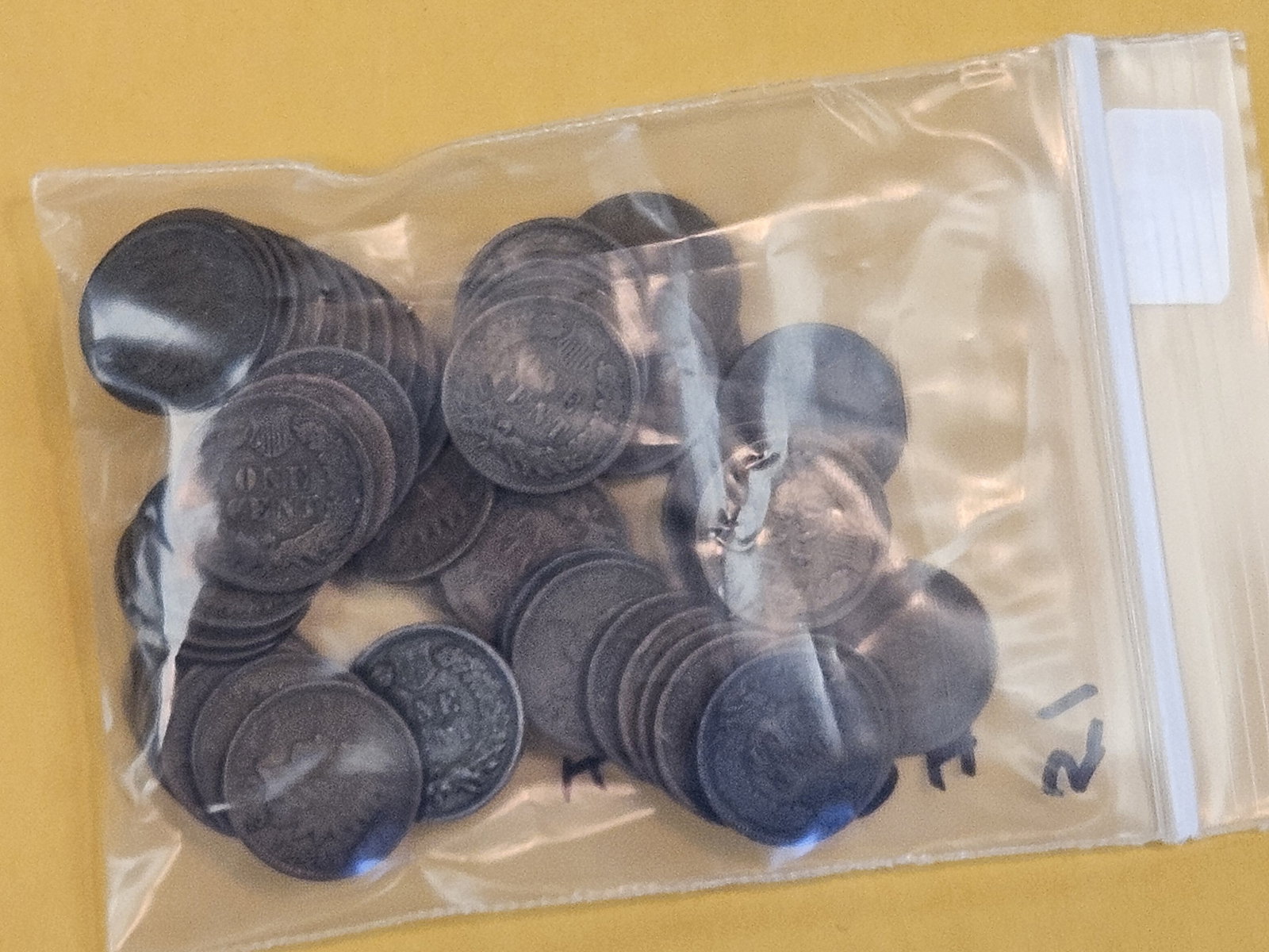 Fifty-One Indian Cents - 2