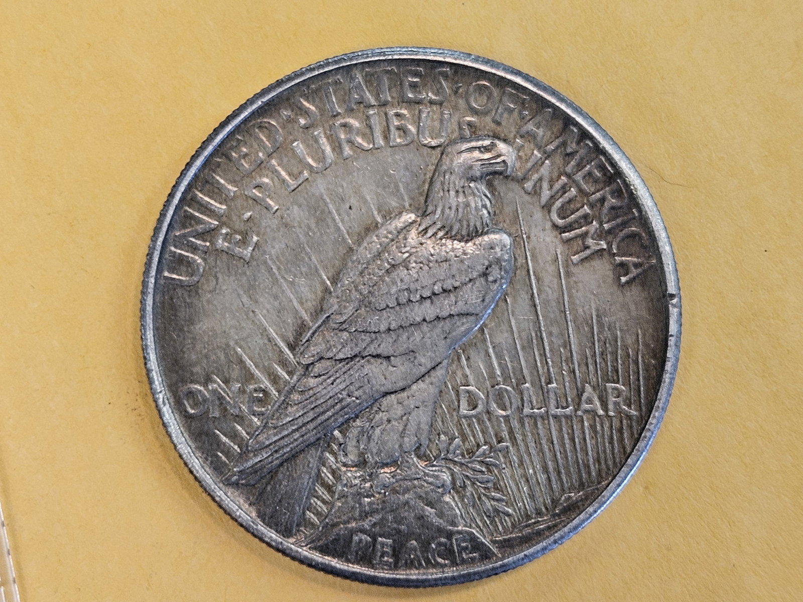 ** KEY DATE ** 1921 Peace silver Dollar in About Uncirculated - 6