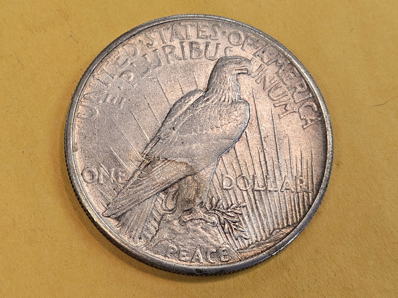 ** KEY DATE ** 1921 Peace silver Dollar in About Uncirculated - 3
