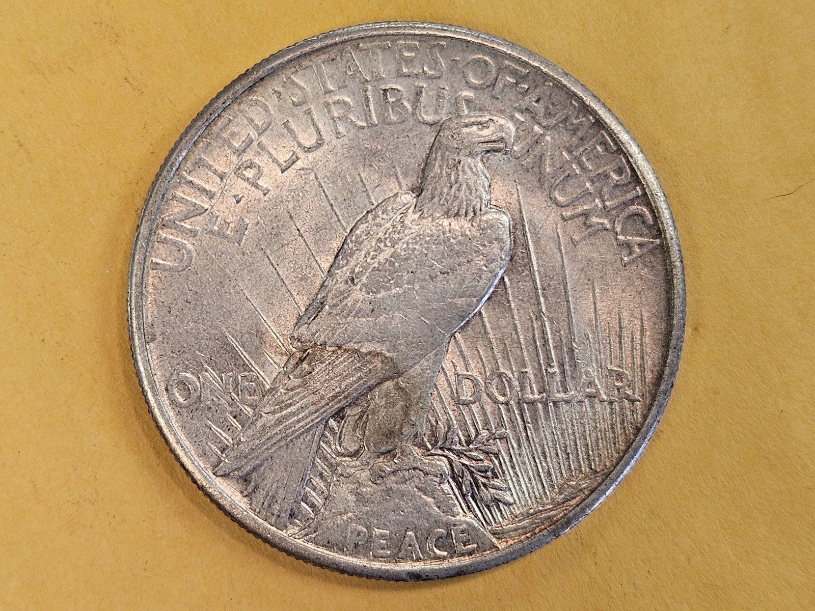 ** KEY DATE ** 1921 Peace silver Dollar in About Uncirculated - 4