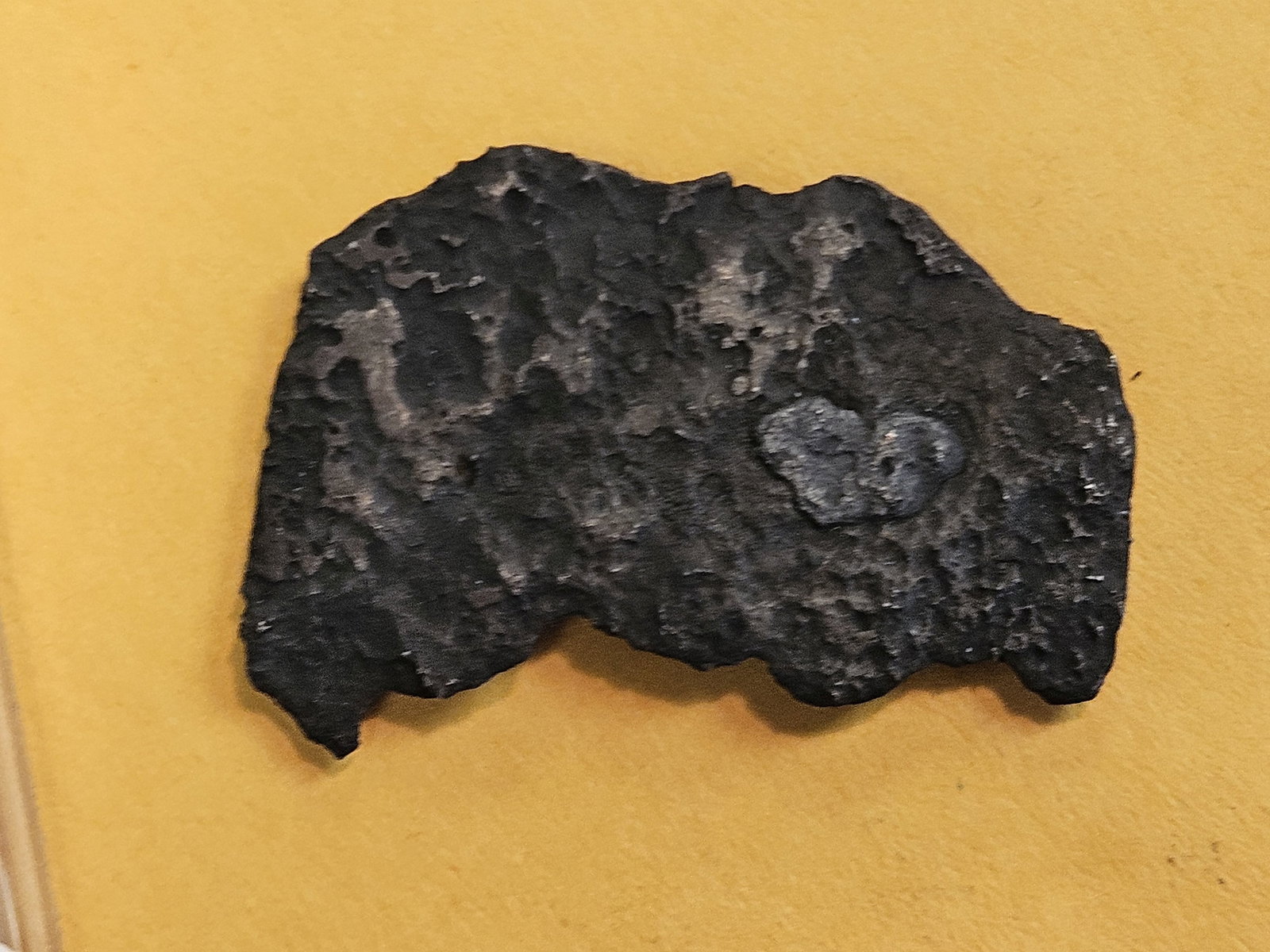 PIRATE BOOTY!: Old silver cob salvaged from a 1622 Shipwreck off the Bahamas 