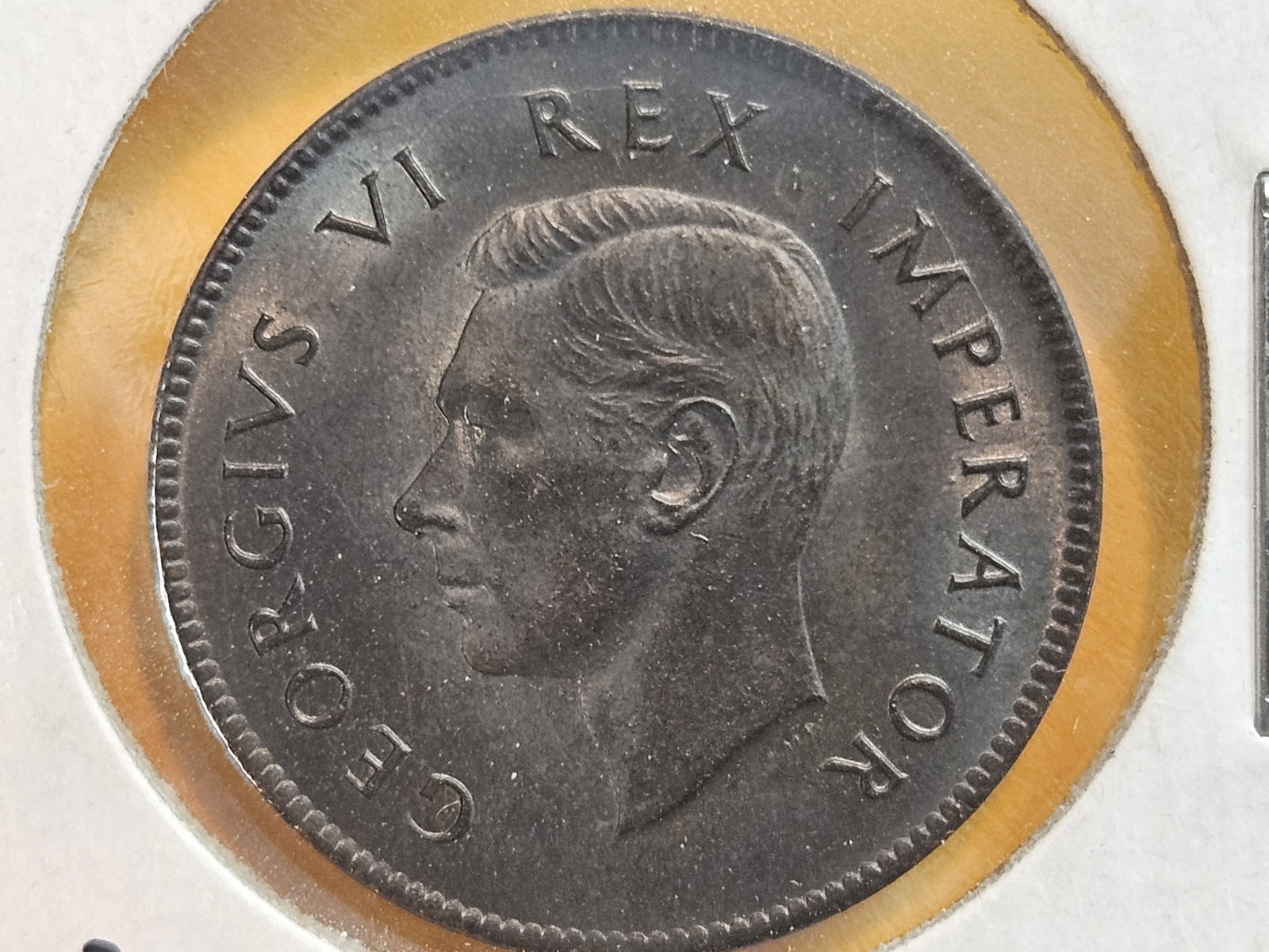 Choice Uncirculated 1942 South Africa 1/4 penny: Great luster! 