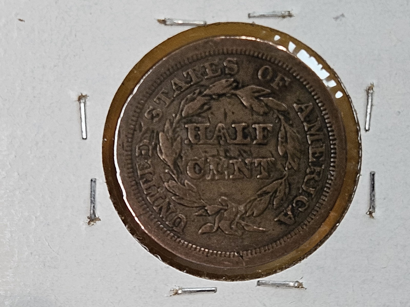 1854 Braided Hair Half-Cent - 4