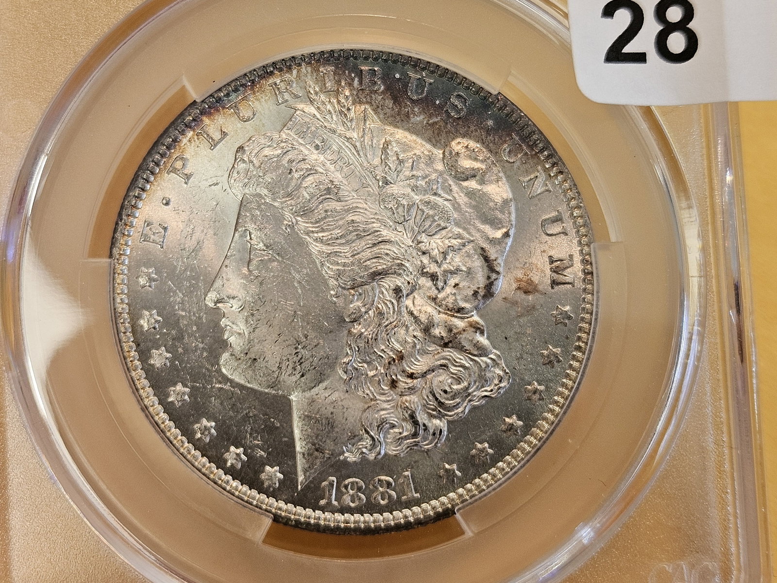 CACG 1881-O Morgan dollar in Mint State 61 - 5