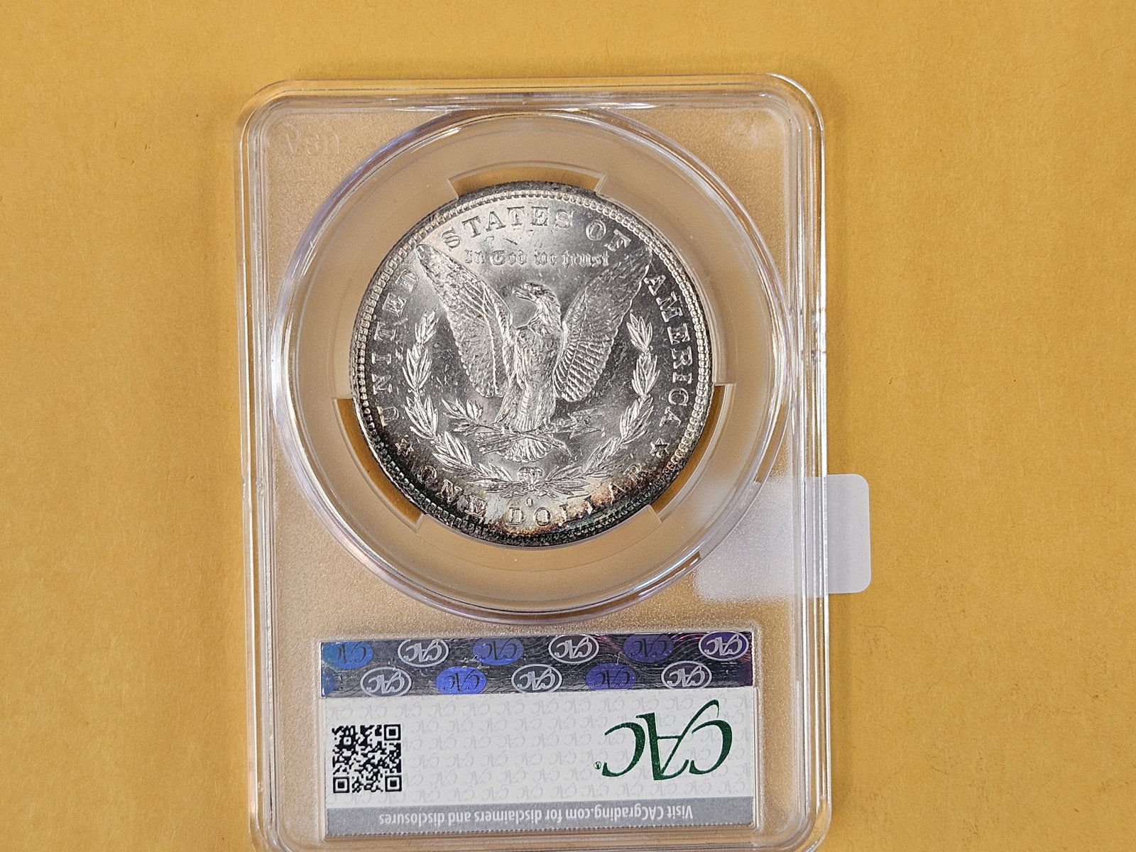 CACG 1881-O Morgan dollar in Mint State 61 - 6