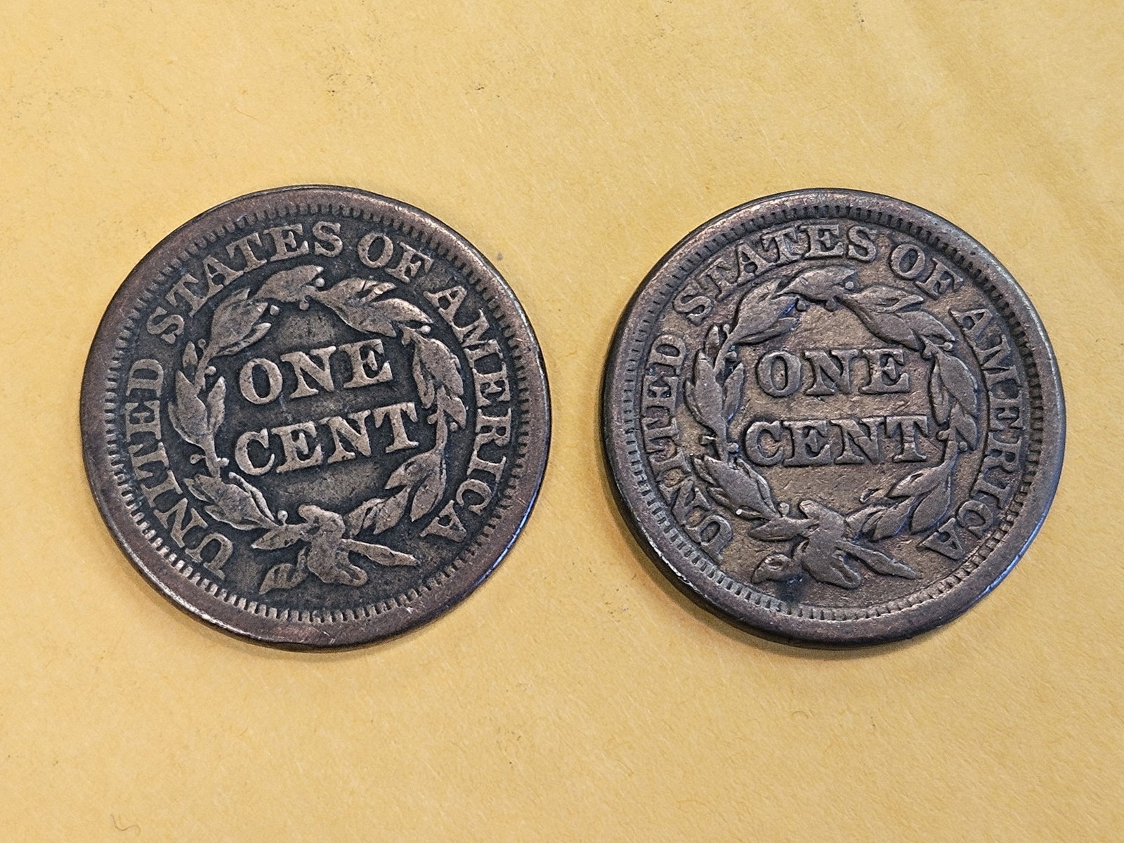 1854 and 1856 Braided hair Large Cents - 3