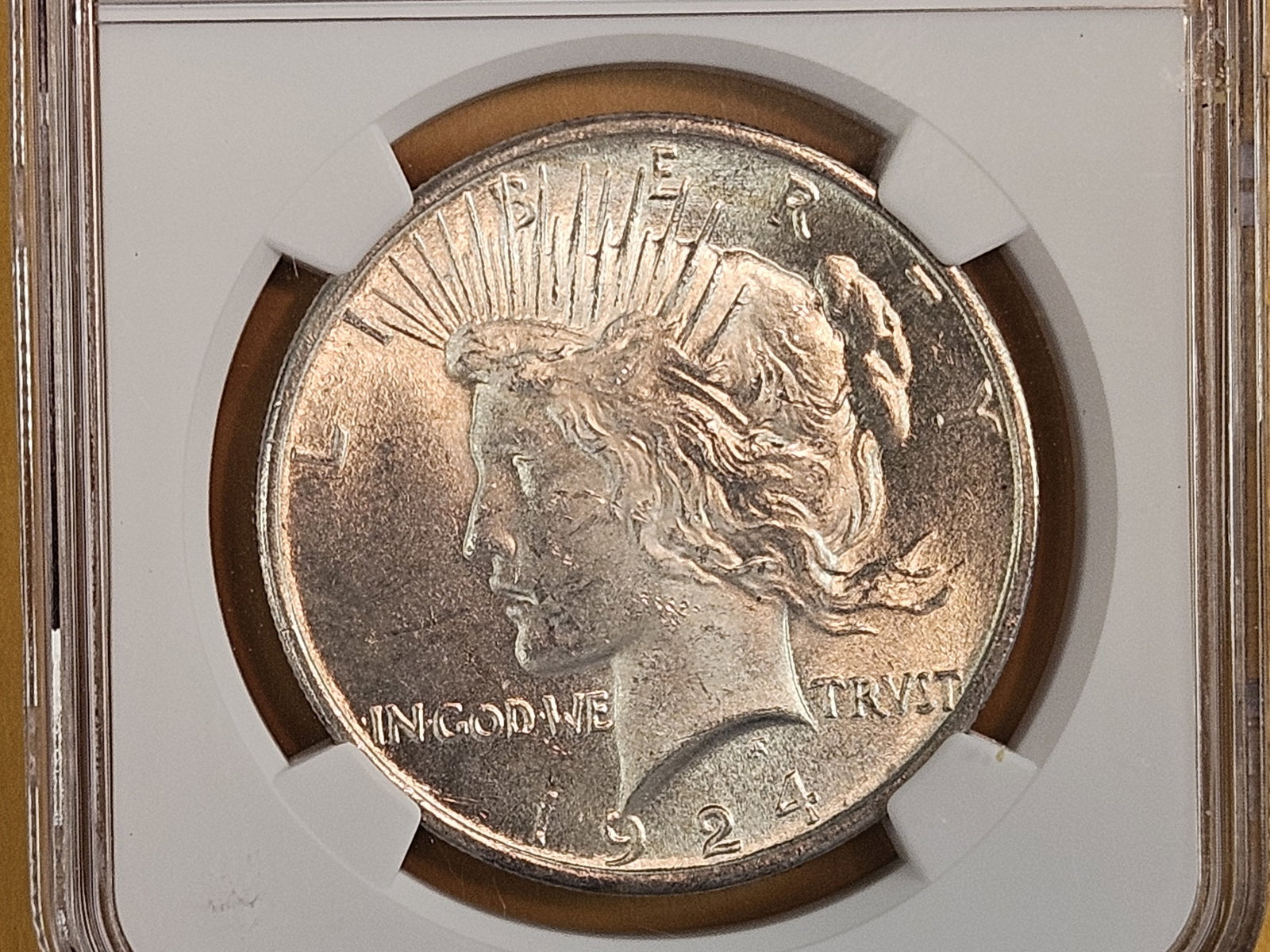 NGC 1924 Peace Silver Dollar in Mint State 63 (1 of 3)