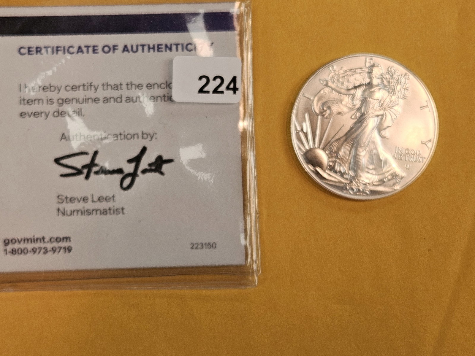 GEM Brilliant Uncirculated 2025 American Silver Eagle - 2