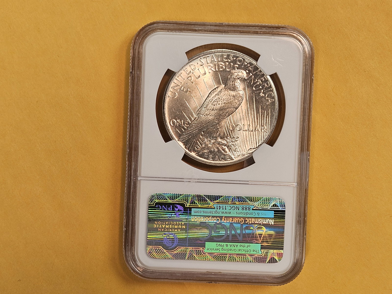 NGC 1925 Peace Silver Dollar in Mint State 63 - 3