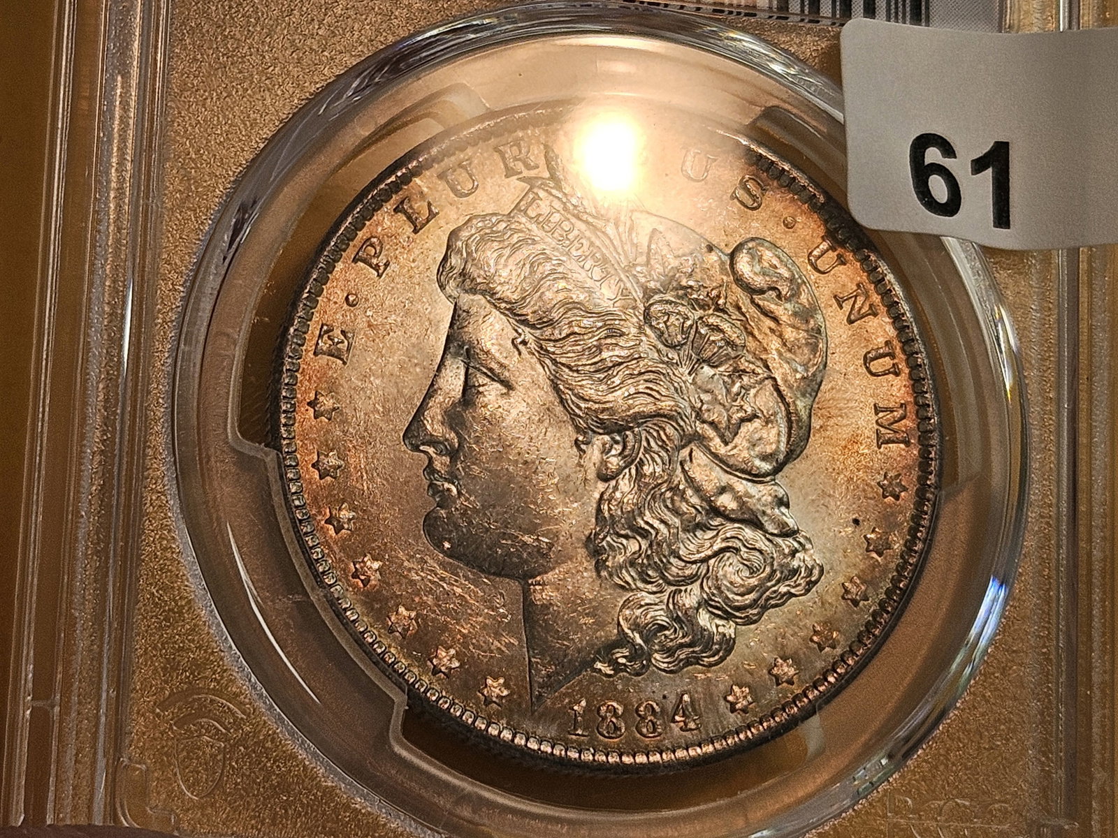 PCGS 1884-O Morgan Dollar in Mint State 61 - 5