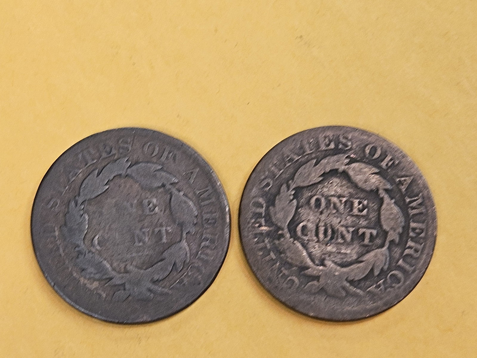 1829 and 1831 Coronet Head Large Cents - 3