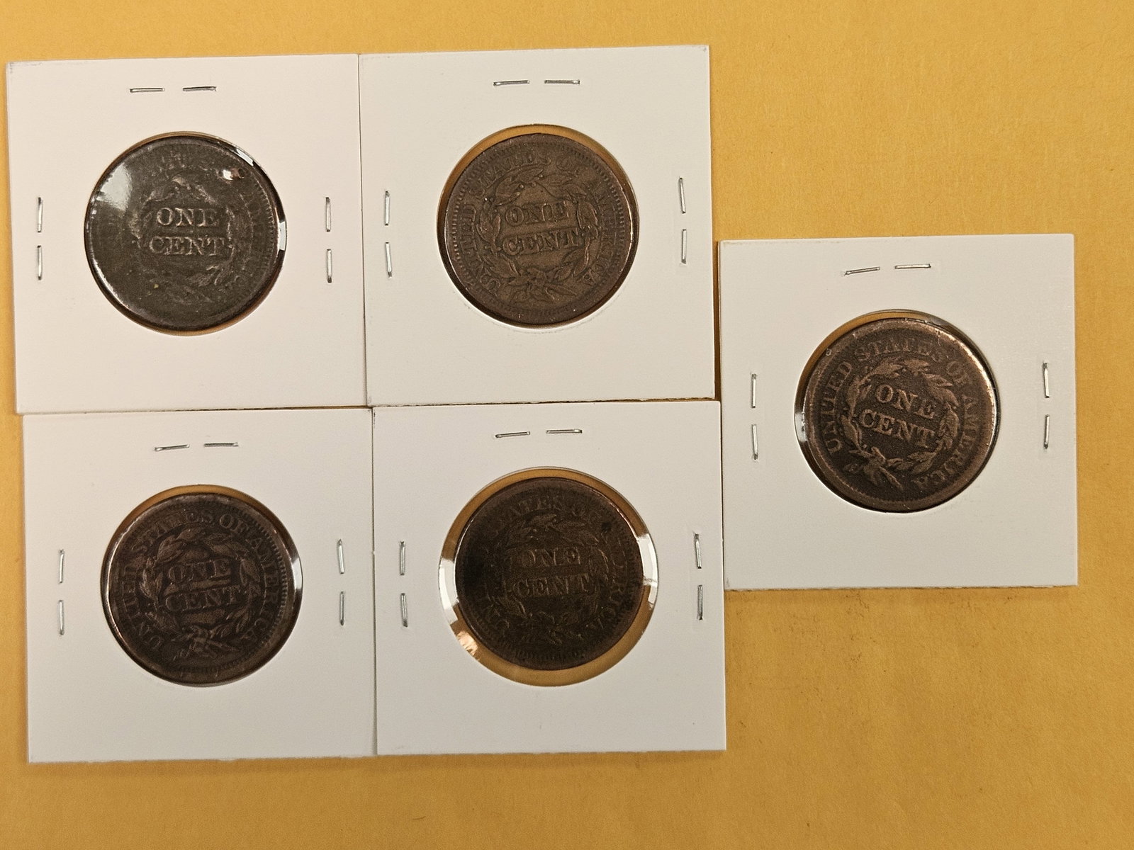 Five Braided hair Large Cents - 5