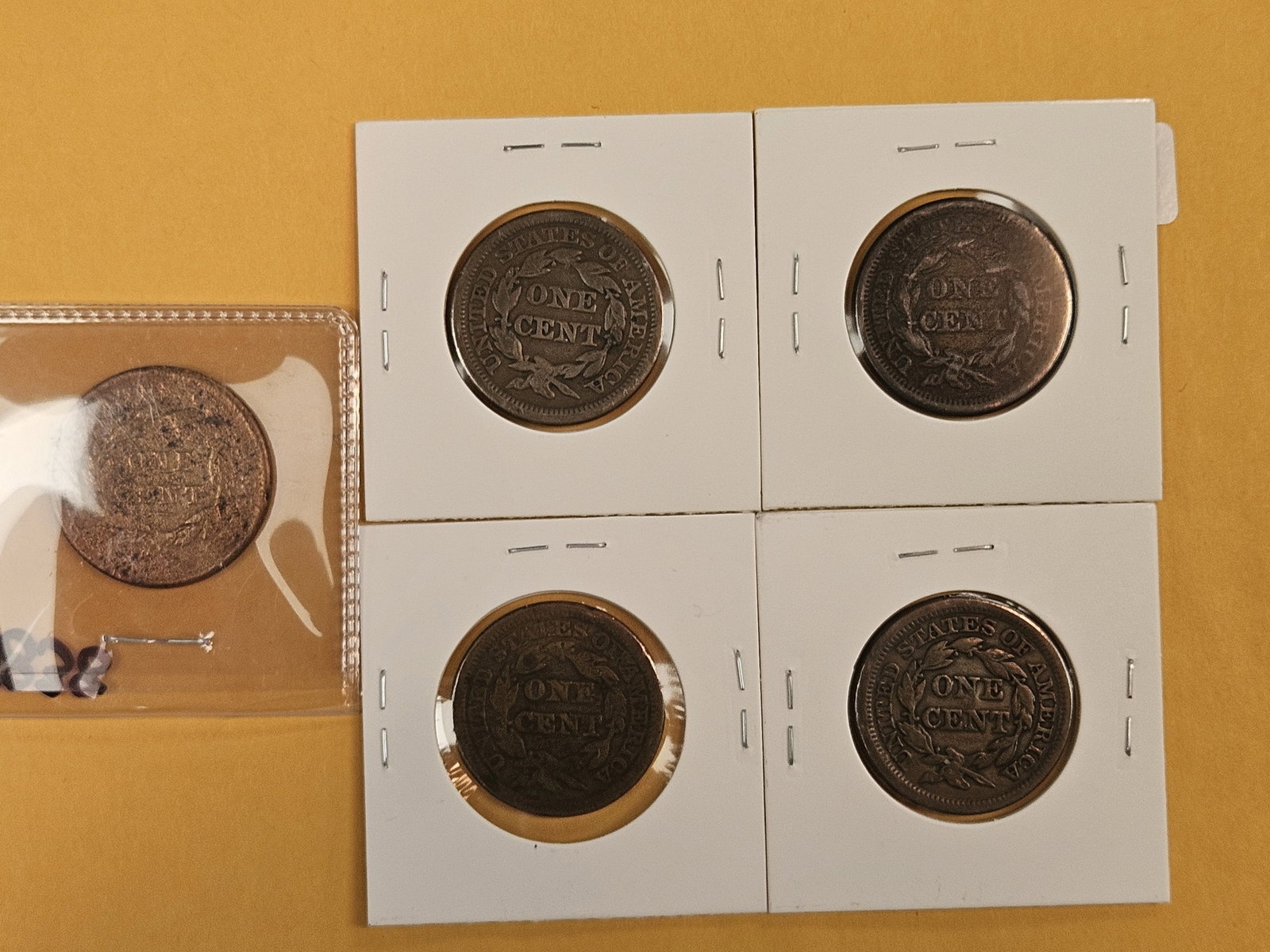 Five Braided hair Large Cents - 5