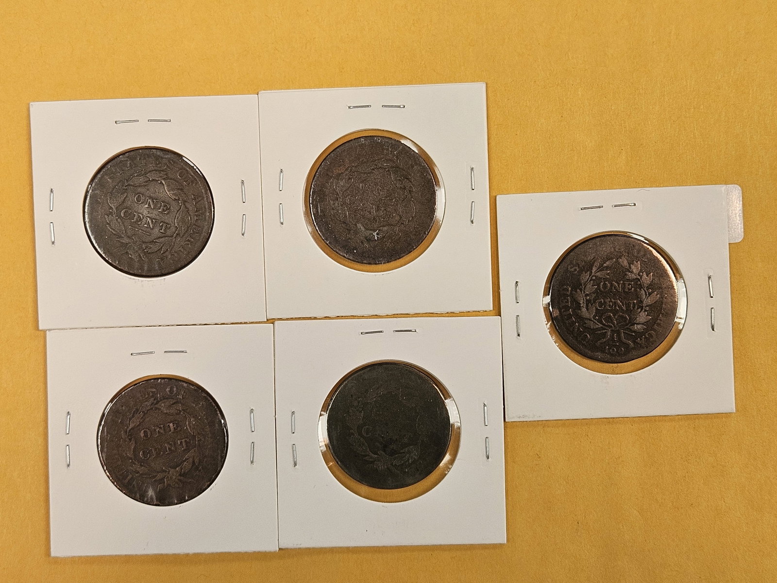 Five Draped Bust and Coronet Head Large Cents - 5