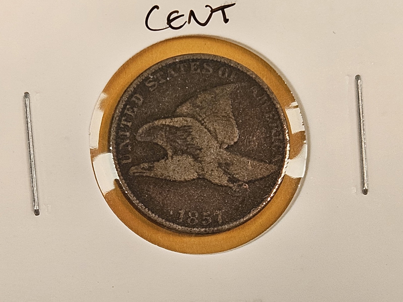 Three Flying Eagle cents - 2