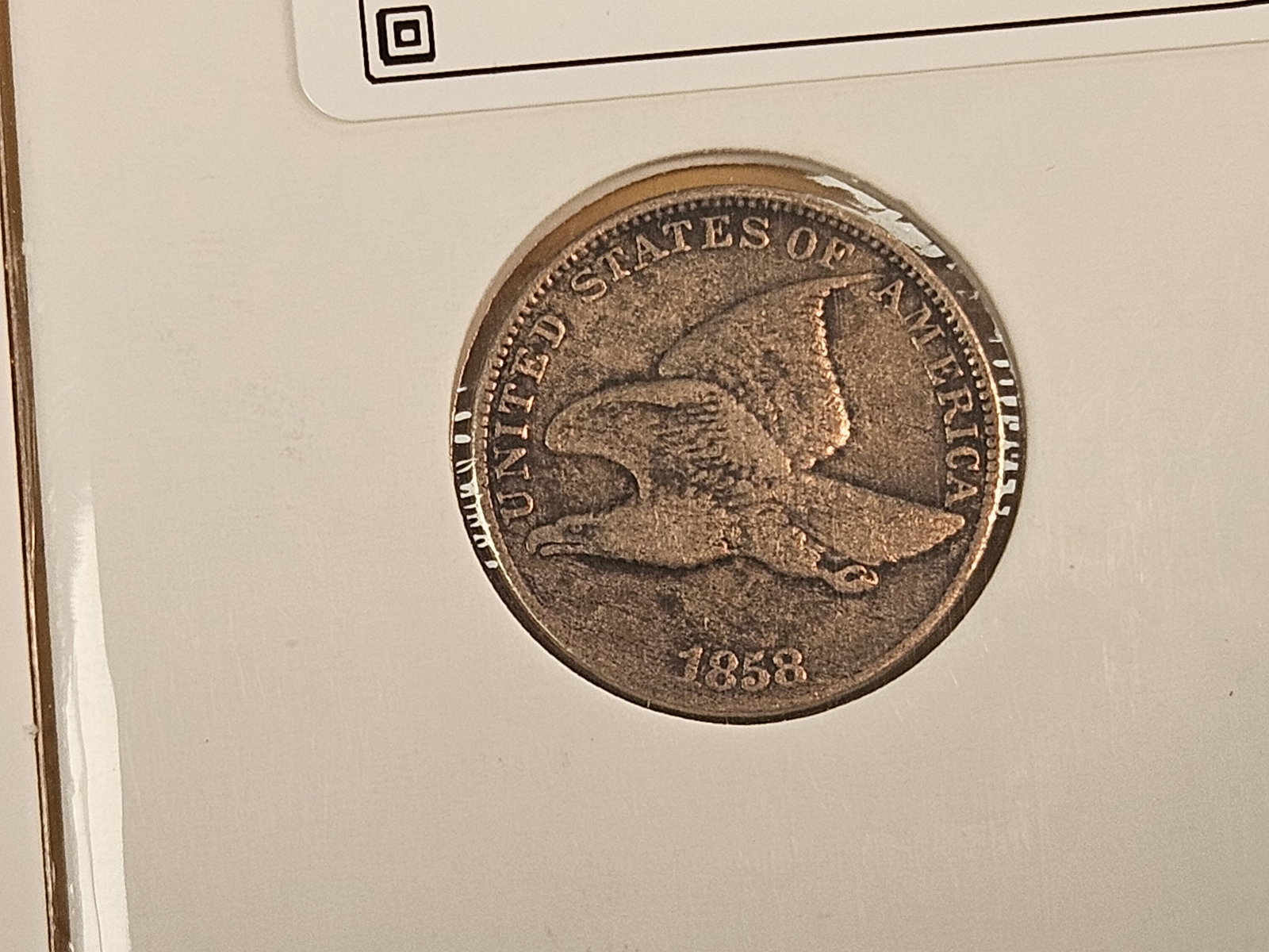Three Flying Eagle cents - 3