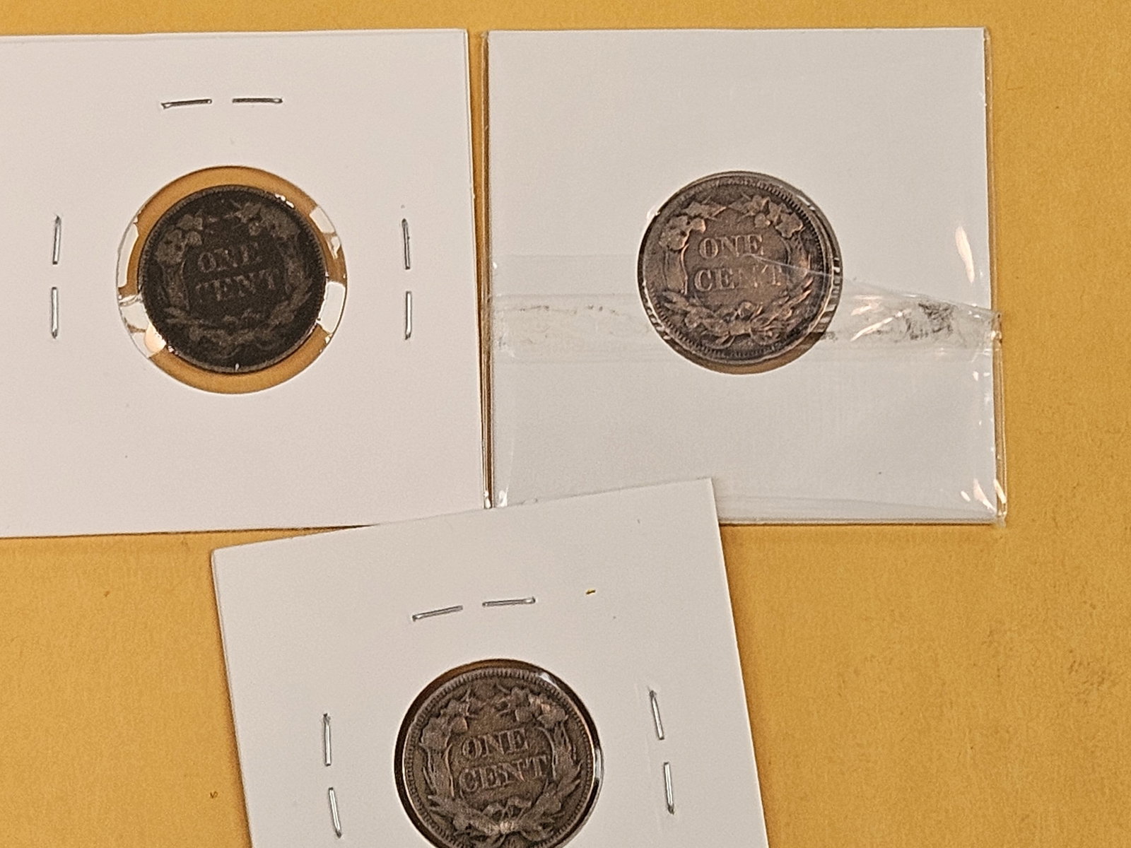 Three Flying Eagle cents - 5