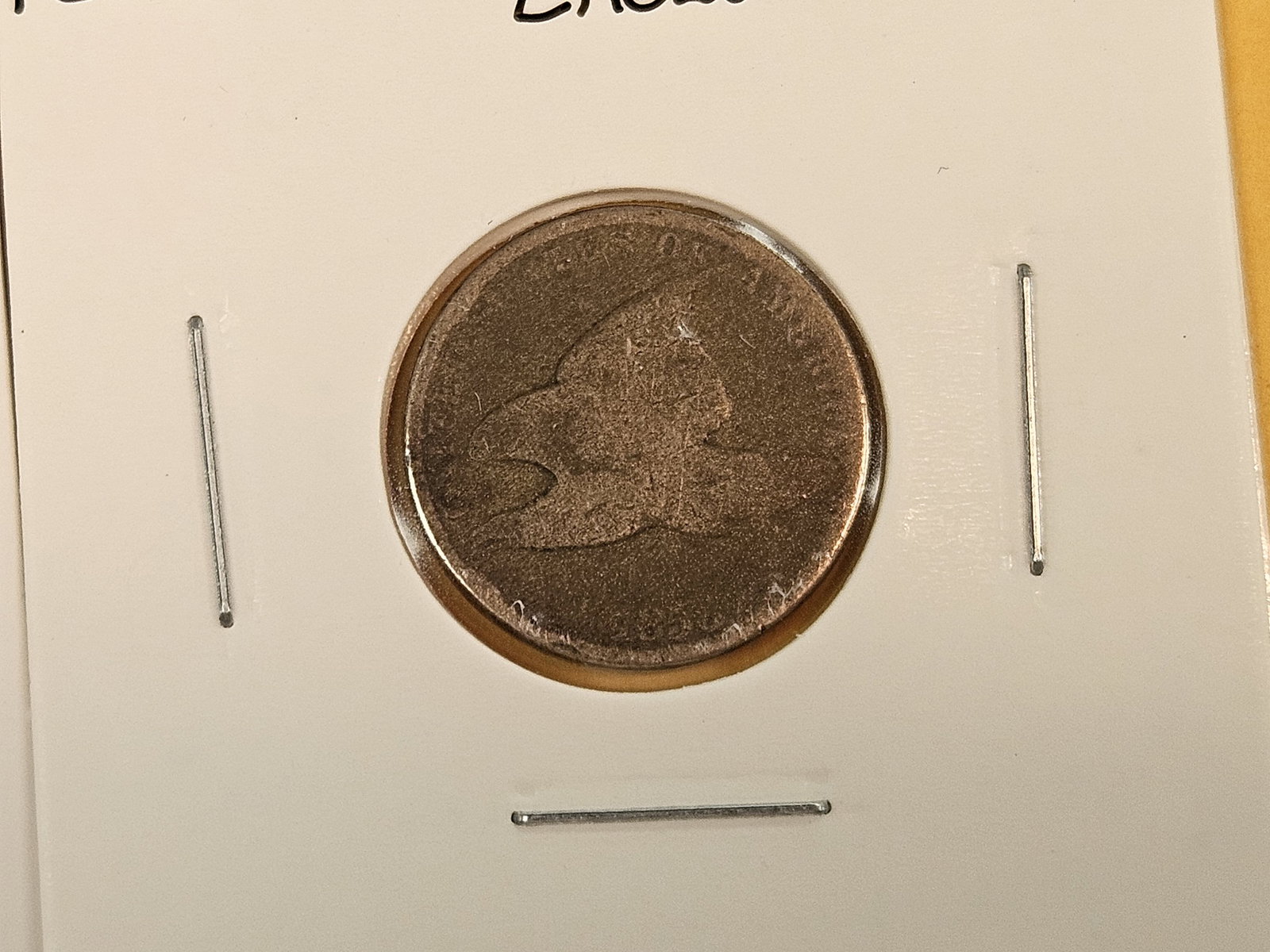 Three 1858 Flying eagle Cents - 3