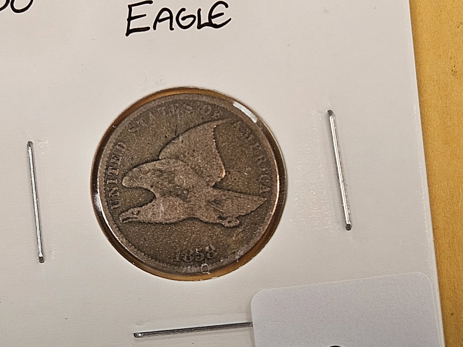 Three 1858 Flying eagle Cents - 4