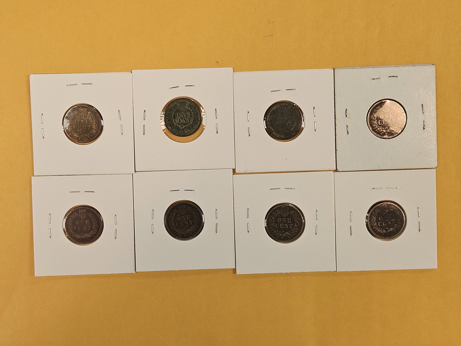 Eight mixed better date or Semi-key Indian Cents - 6