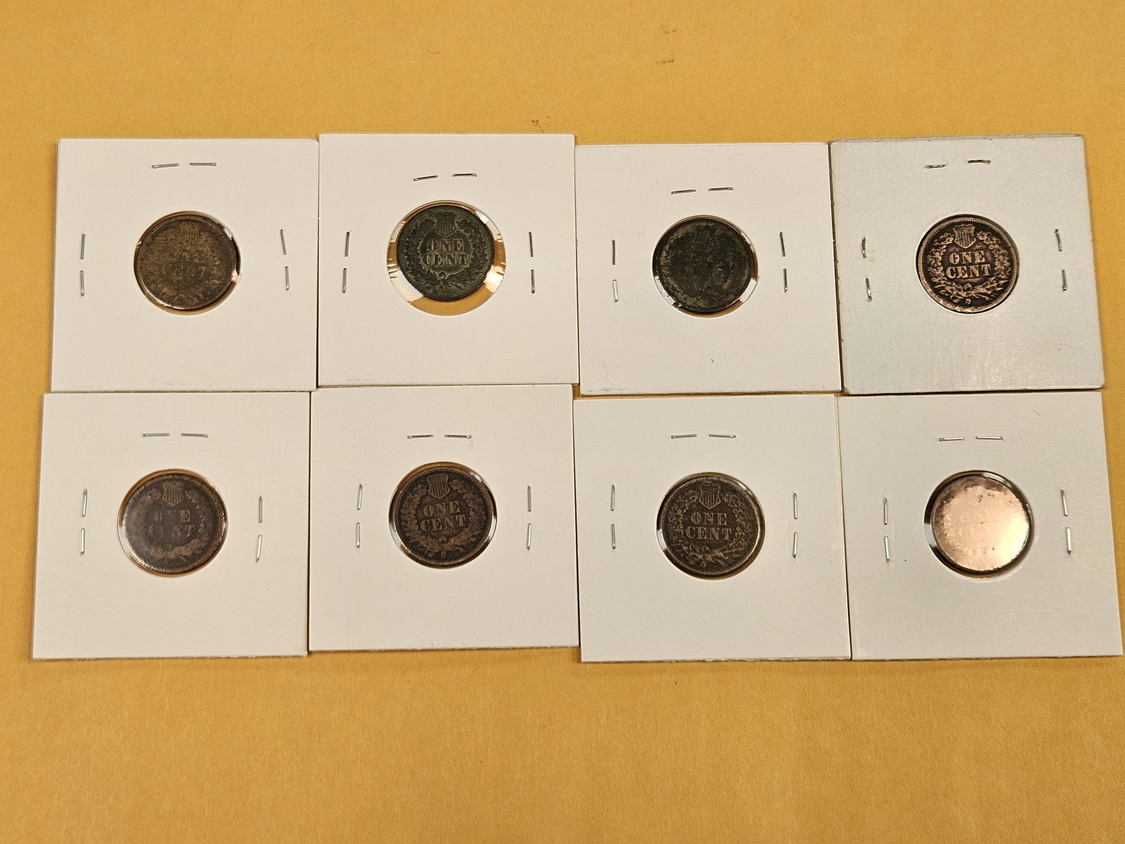 Eight mixed better date or Semi-key Indian Cents - 7