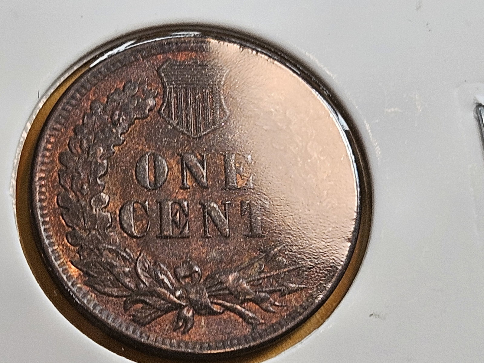 Four nicer Indian cents in Extra Fine through Uncirculated Red-Brown - 10