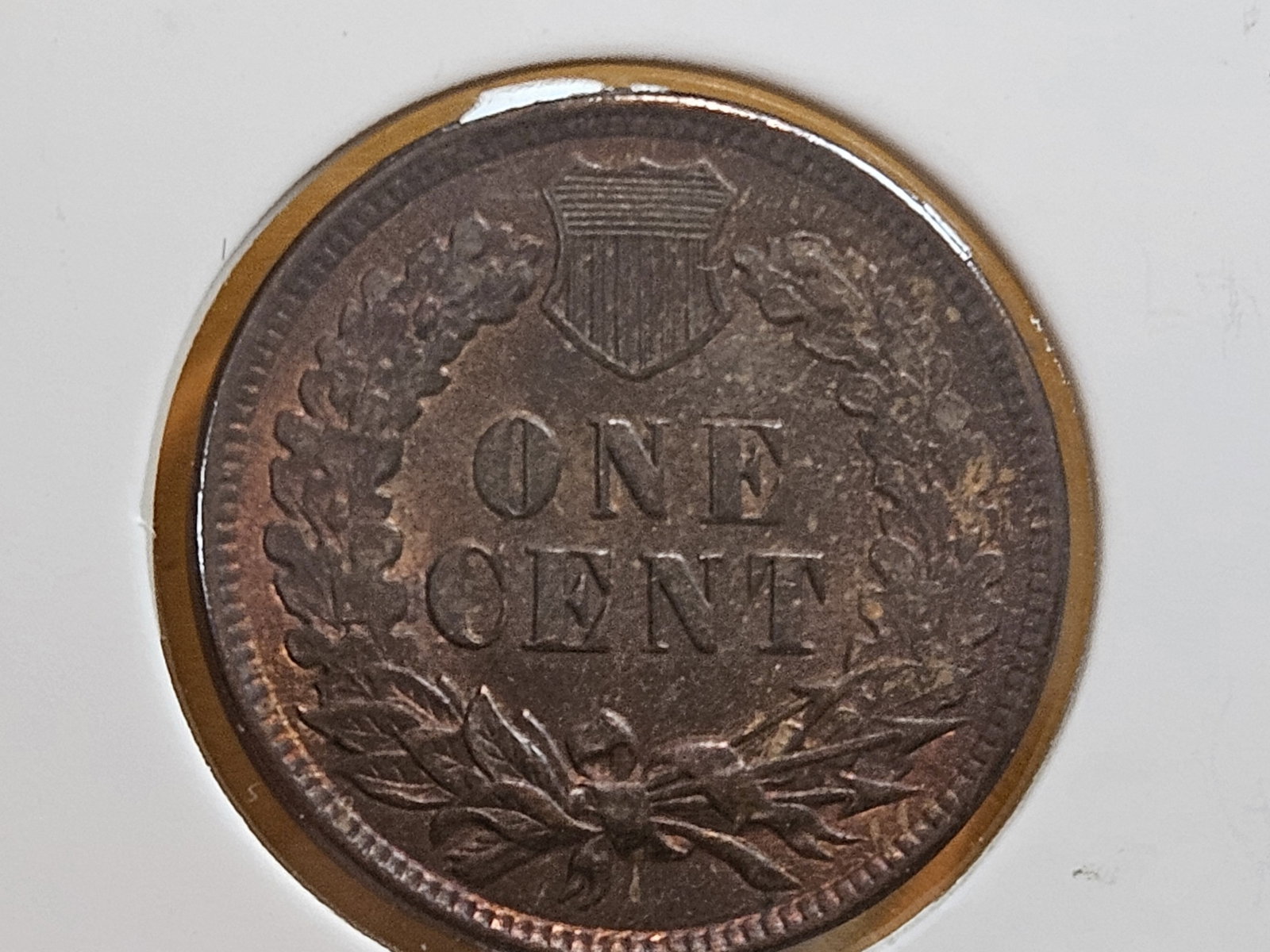 Four nicer Indian cents in Extra Fine through Uncirculated Red-Brown - 11