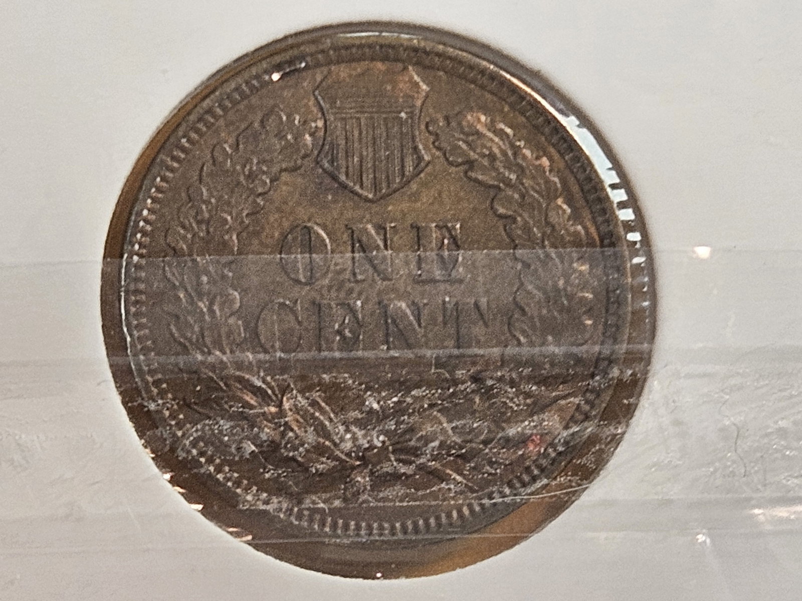 Four nicer Indian cents in Extra Fine through Uncirculated Red-Brown - 3